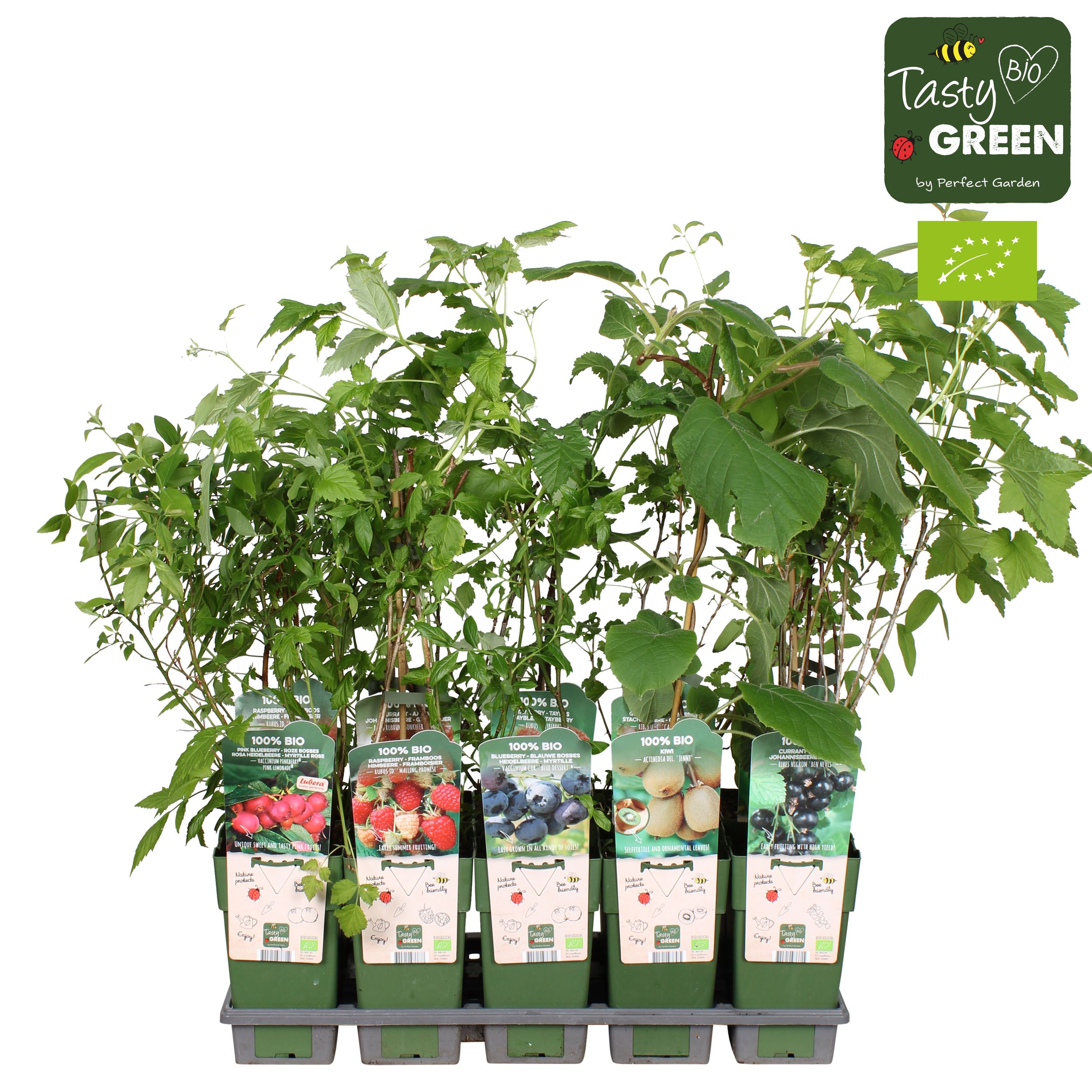 Picture of Fruit mix tray bio standard P15
