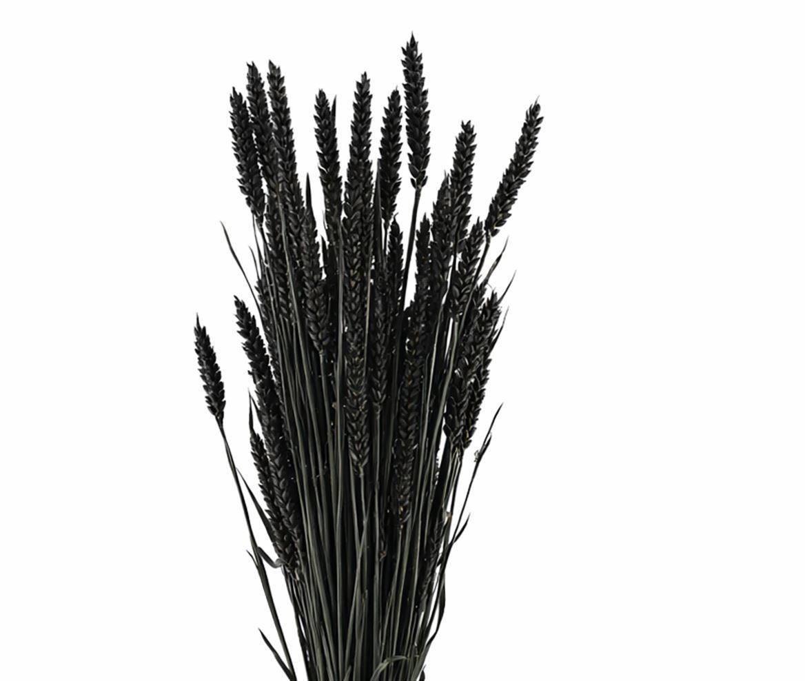 Dried/preserved Flowers Misc 60cm 200gram