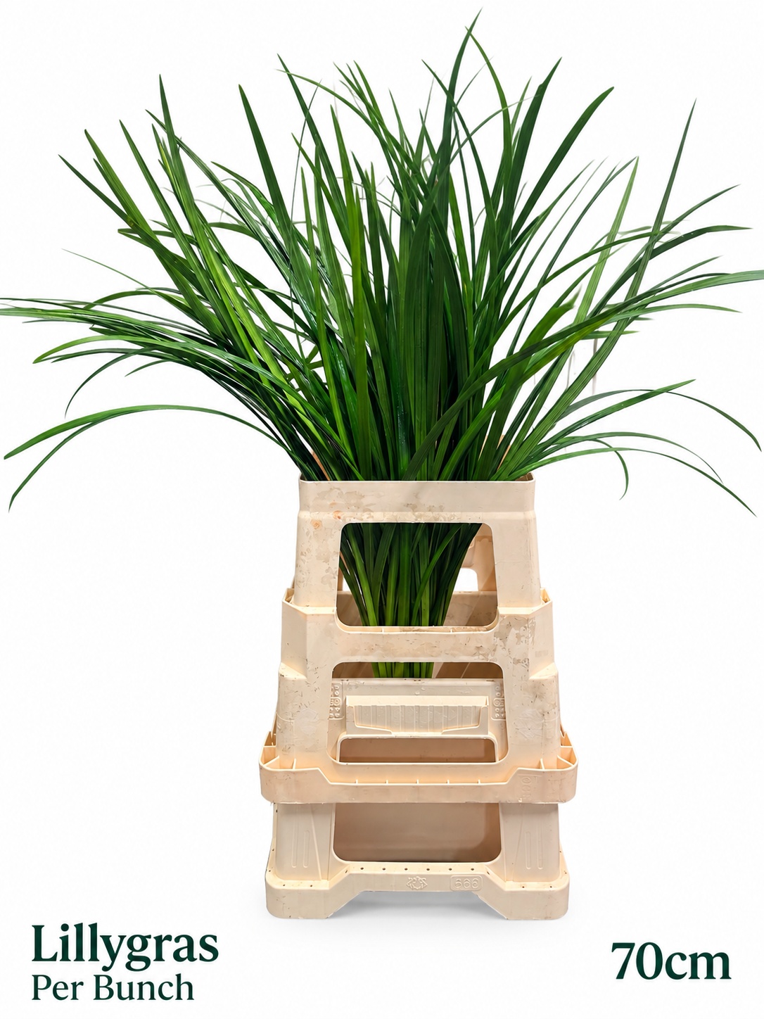 Decogroen Groot Blad 70L.cm