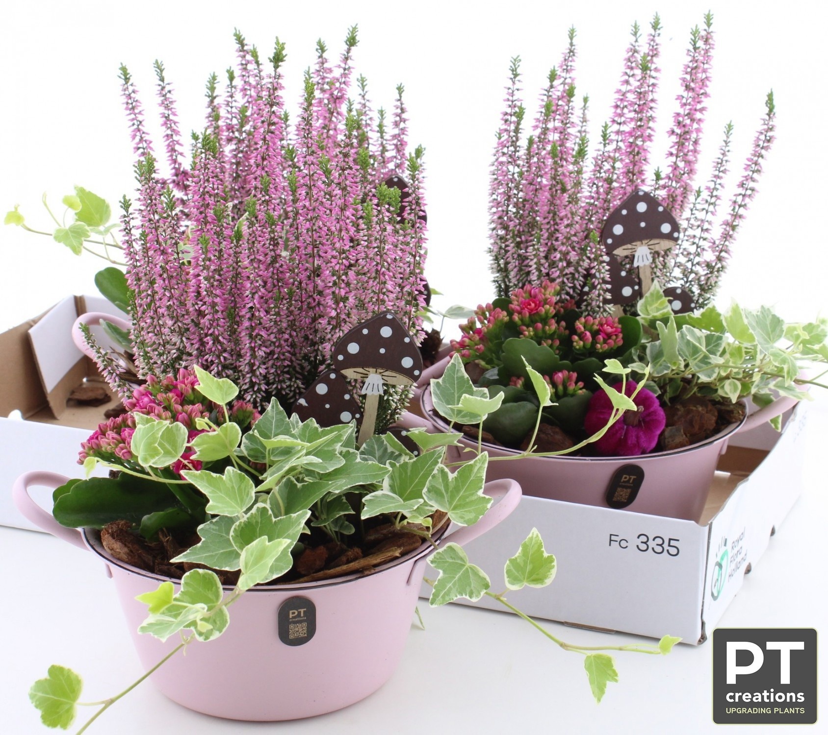 Arr Tuinplanten 26P 35cm 22bloei