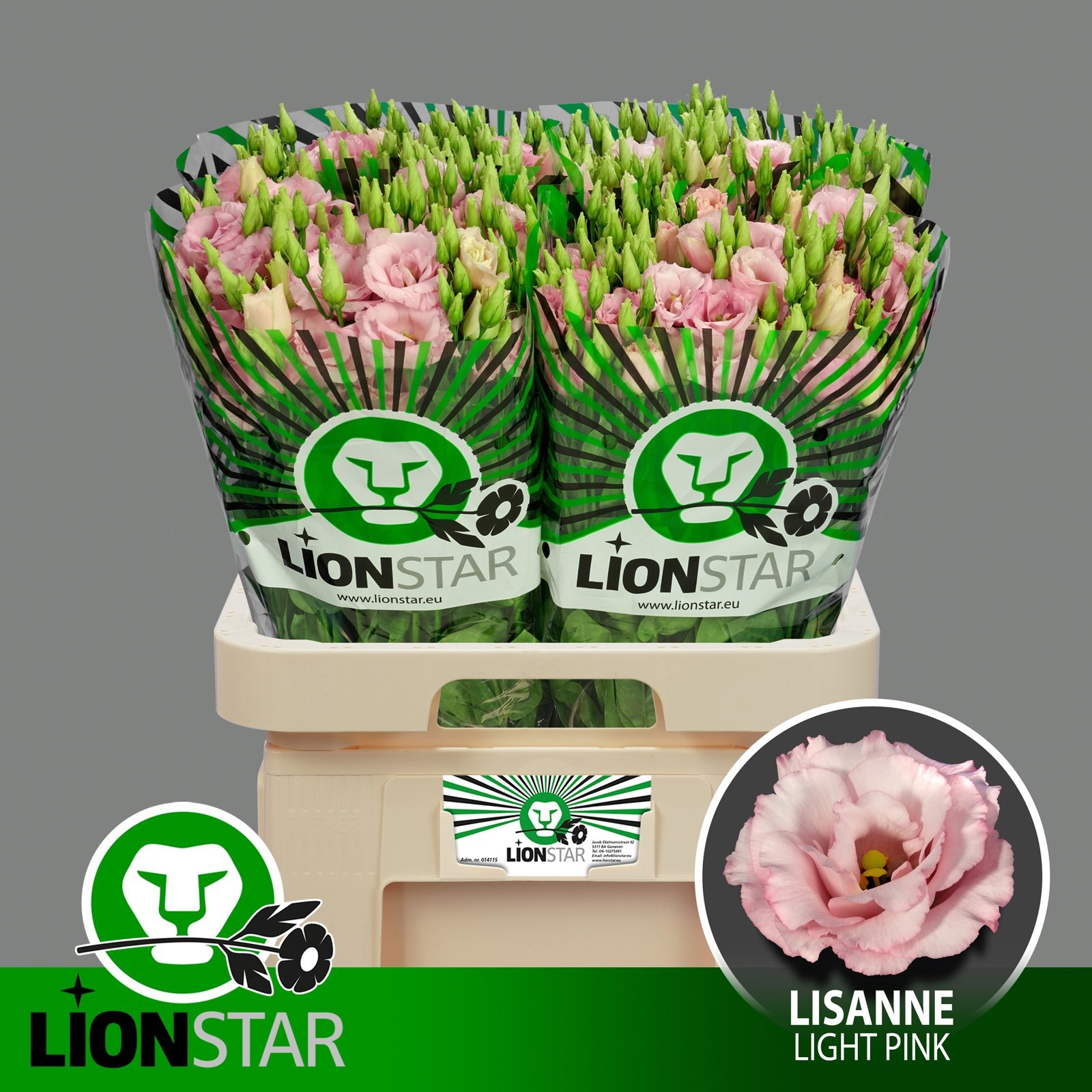 Eus G Lisanne L Pink