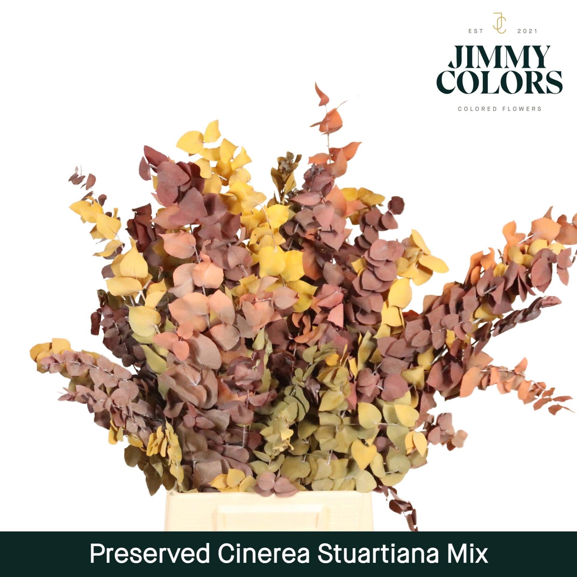 Preserved Cinerea Autumn Mix