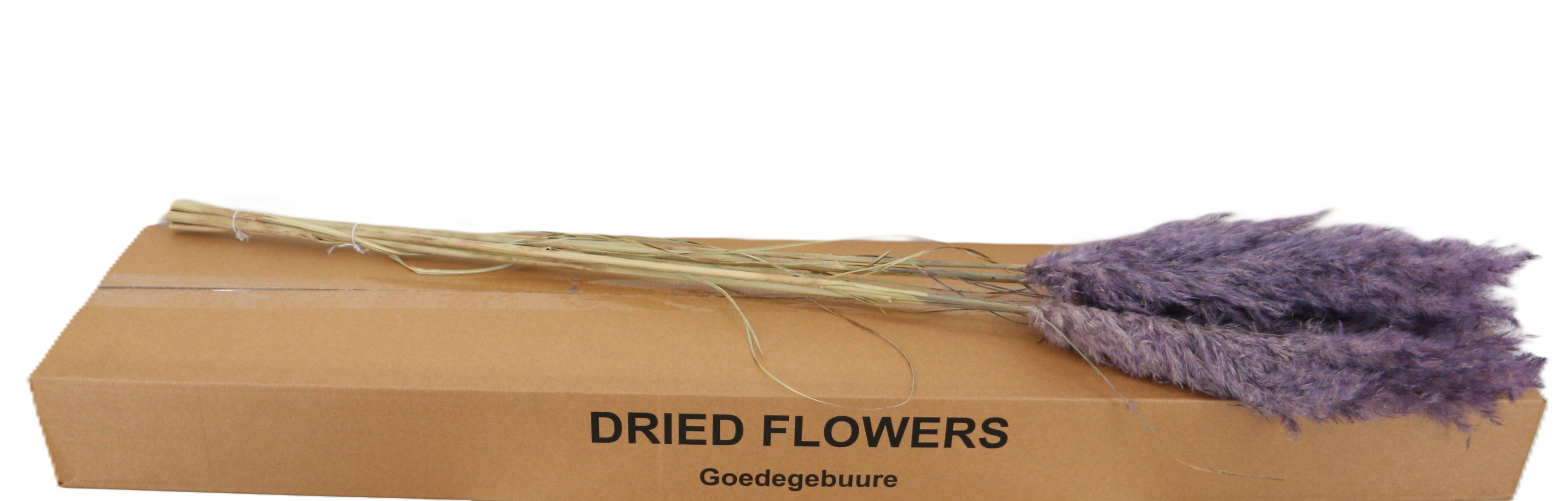 Droogbl Bewerkt H%