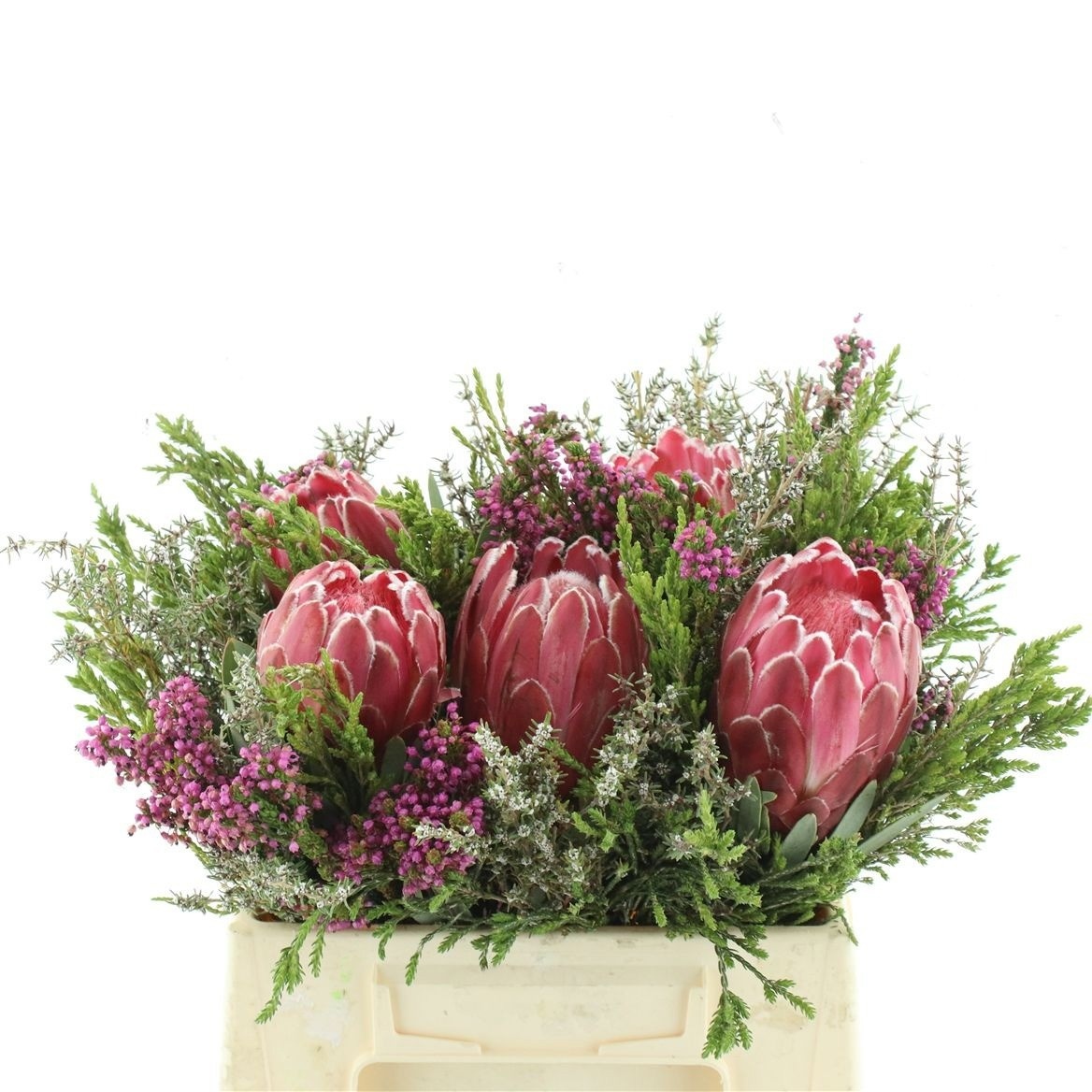 Protea Bouquet Per Bunch 40cm