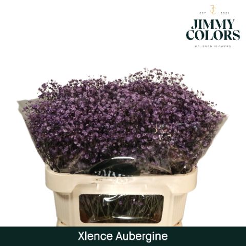 Gyps Xlence L70 Aubergine