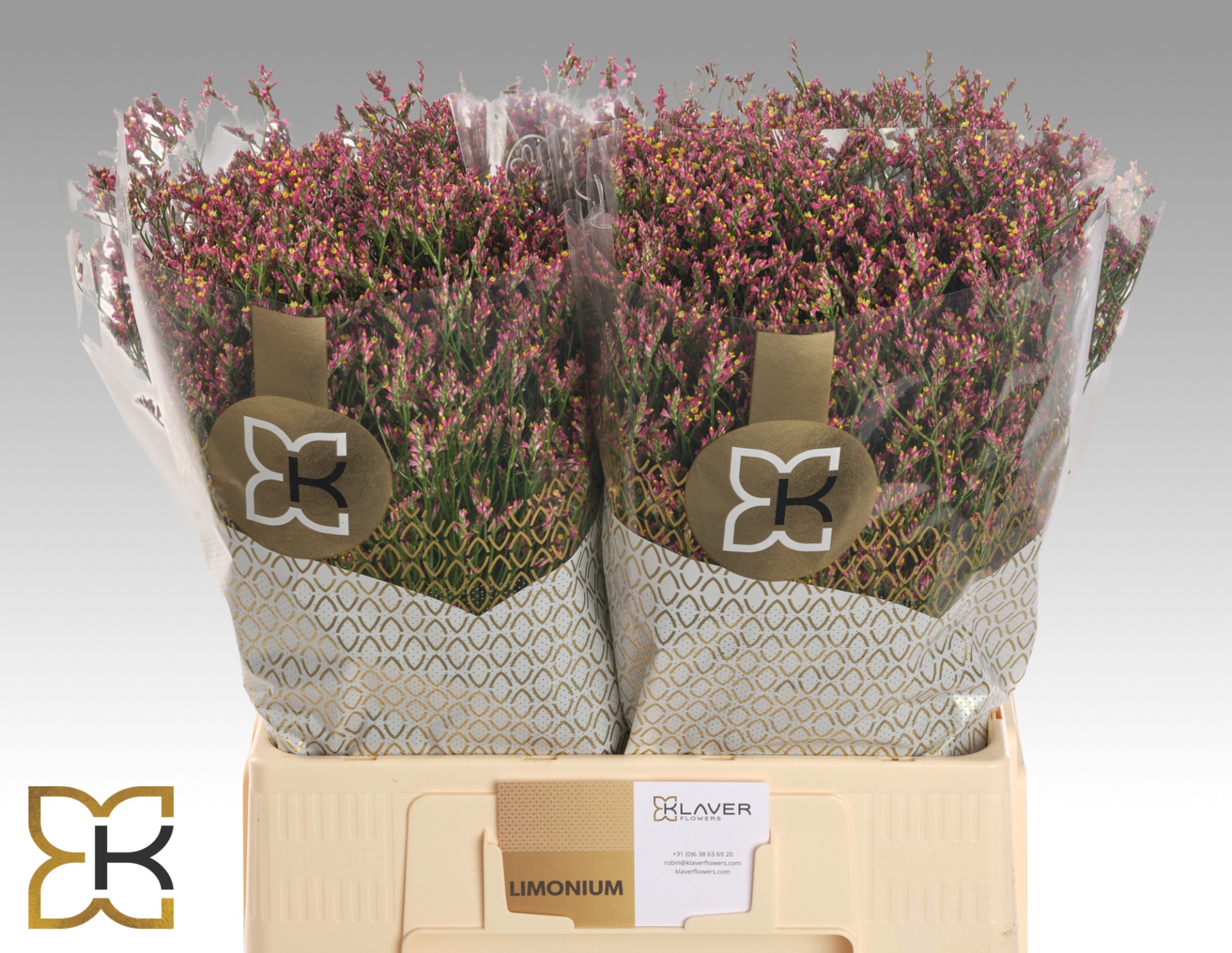 Limonium Sin Scarlett Diamond 60cm 20gram