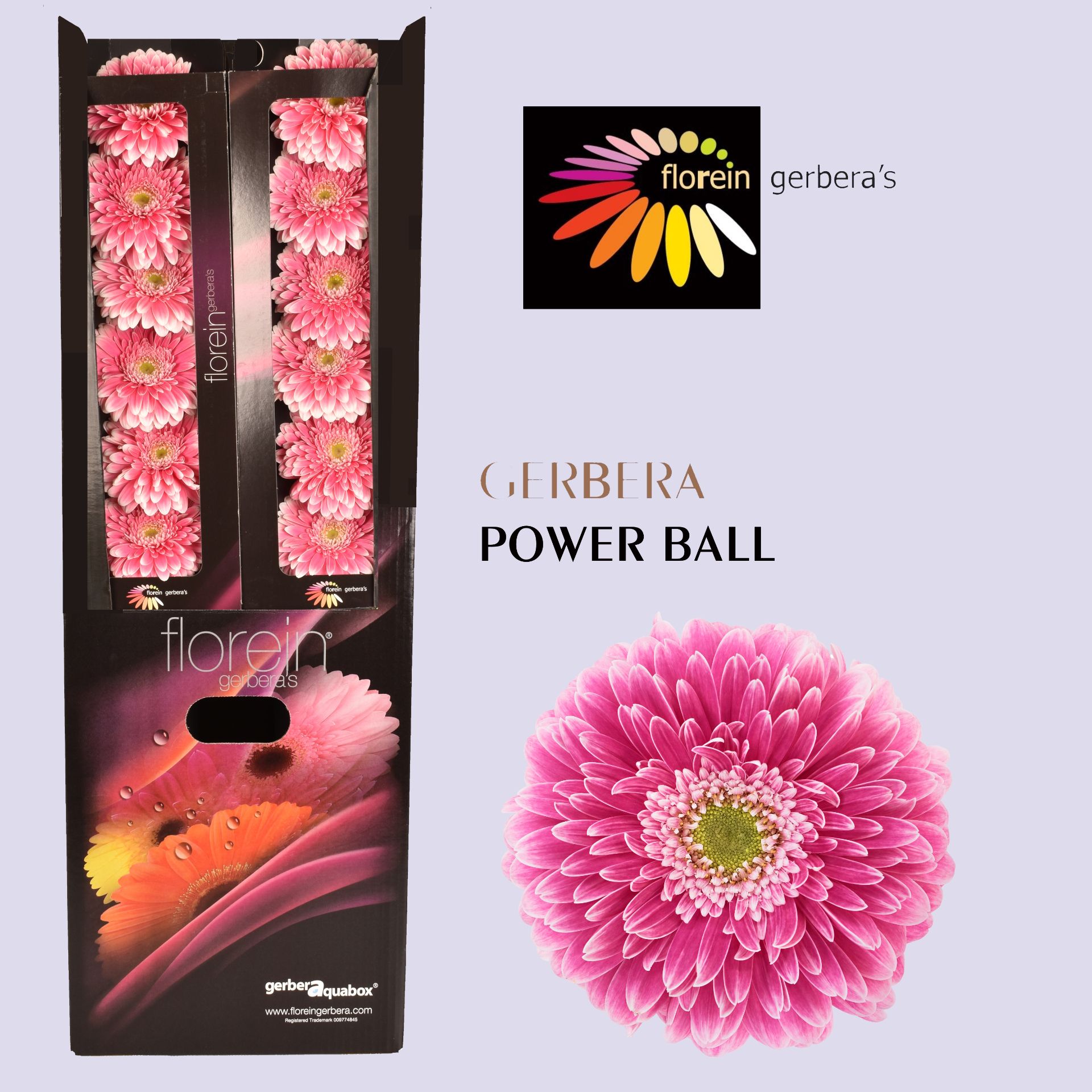 Ge Gb Pom Power Ball