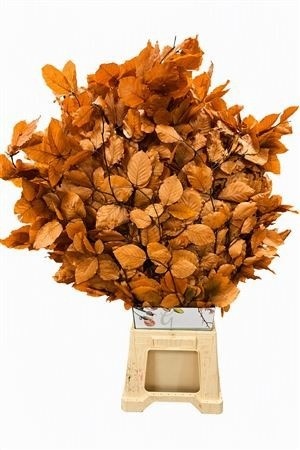 Decorgroen Klb Bs H%