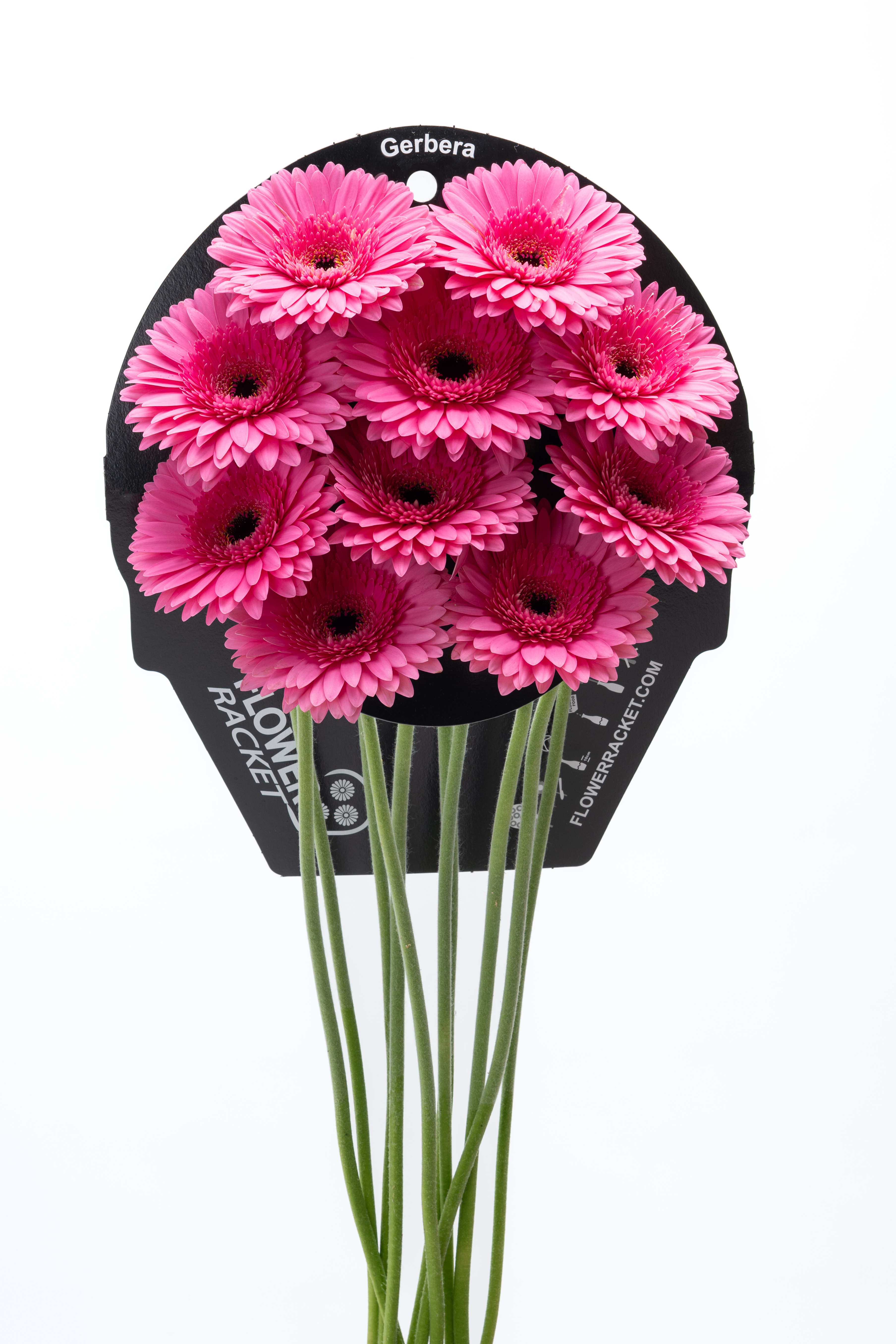 Gr Ge Peppa Flowerracket