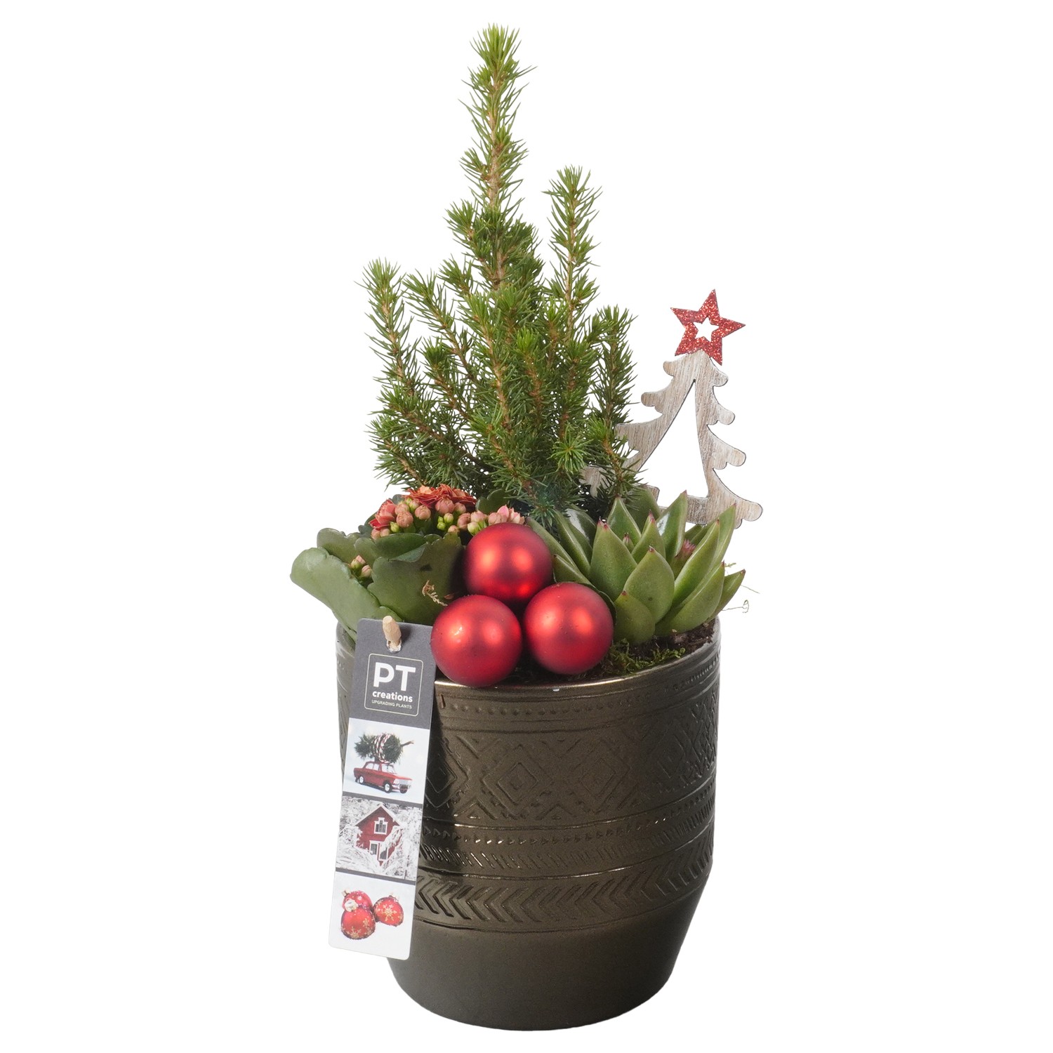 Picture of PTKB9354 Arrangement X-Mas in ceramic pot P14 34CM