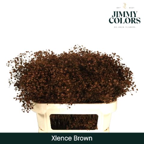 Gyps Xlence L70 Brown