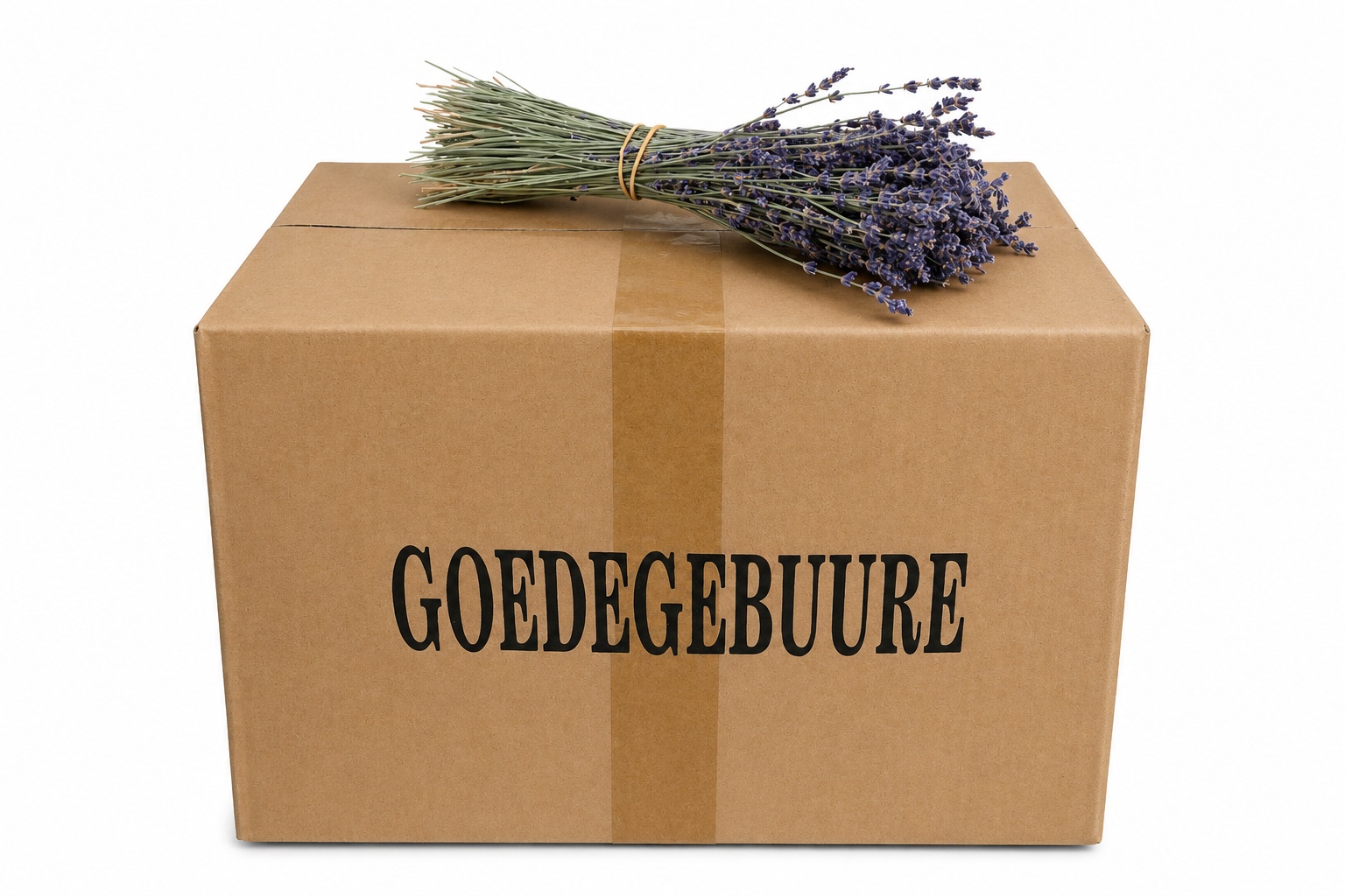 Droogbl Bewerkt H%