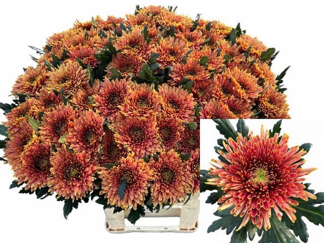 Chr G Tula Copper 80cm 105gram