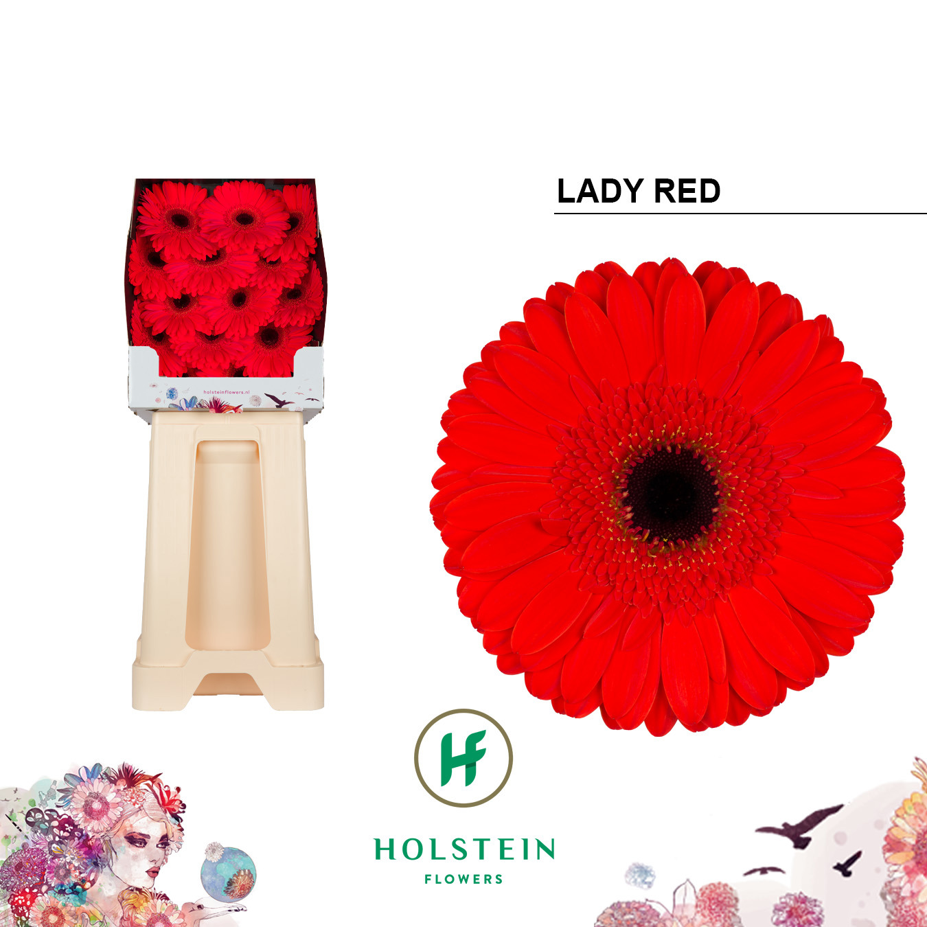 Ge Gr Lady Red