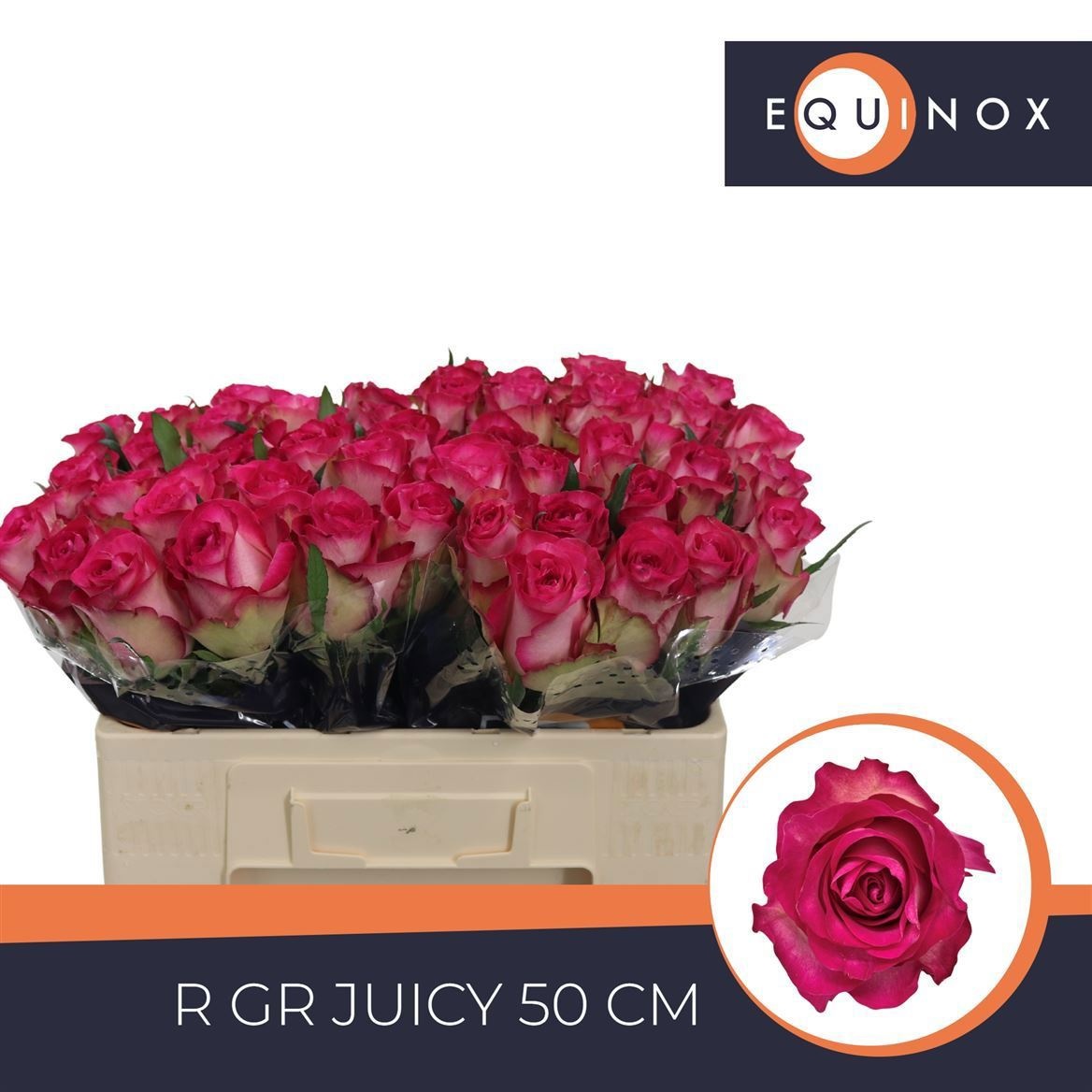 R Gr Juicy