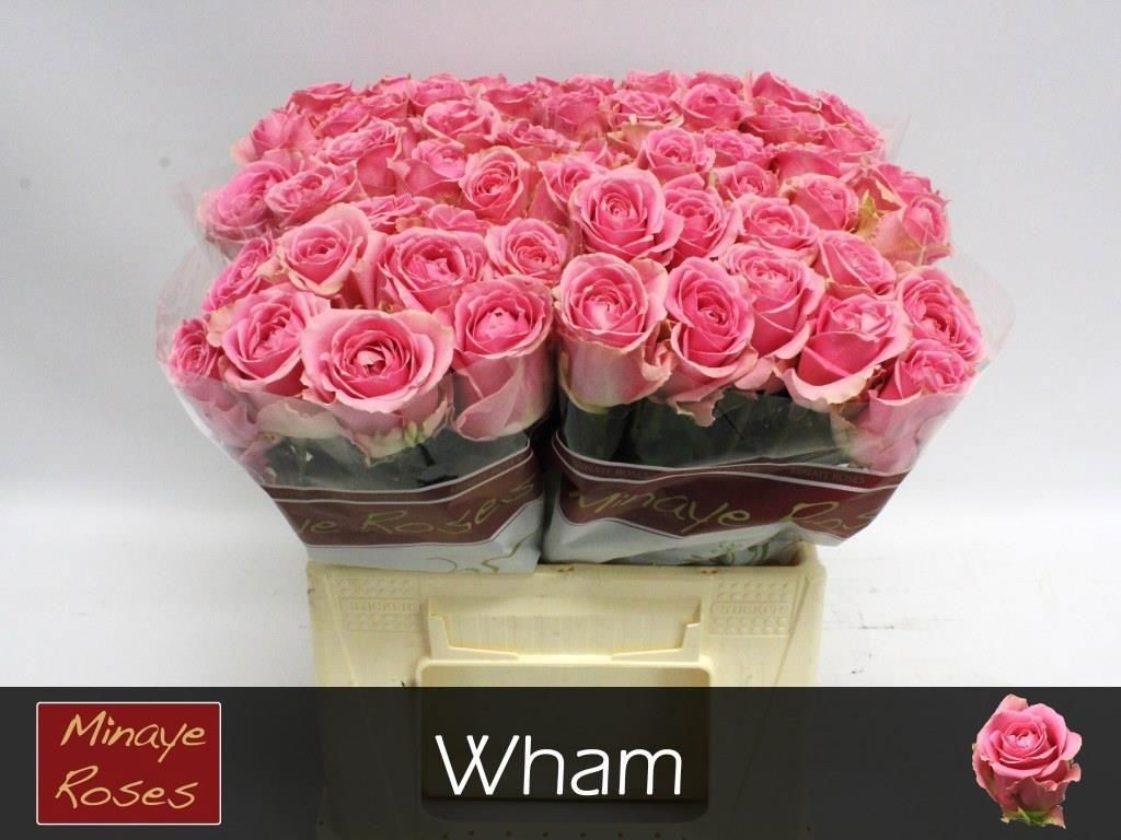 R Gr Wham