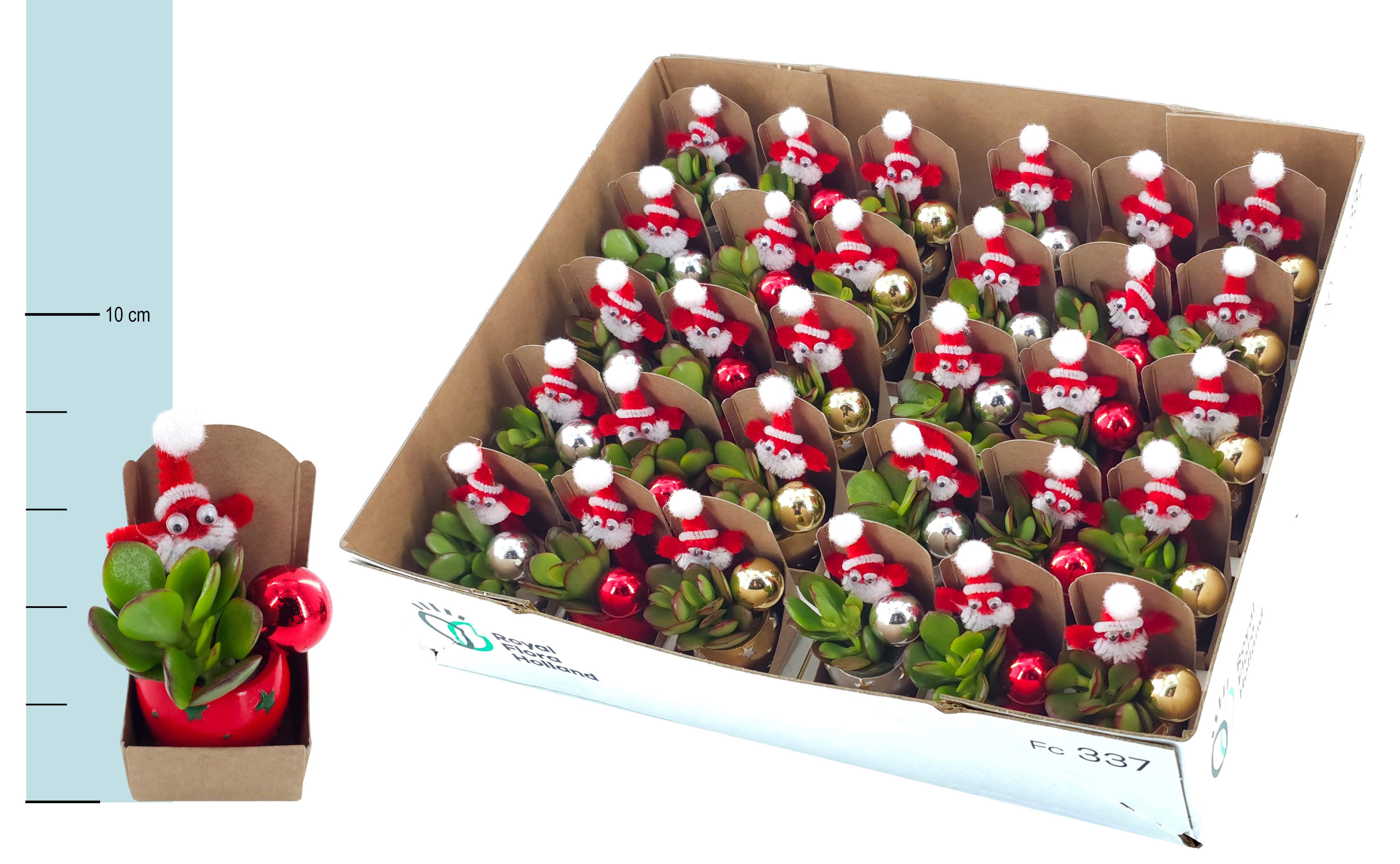 Arrangement Christmas 4Ø