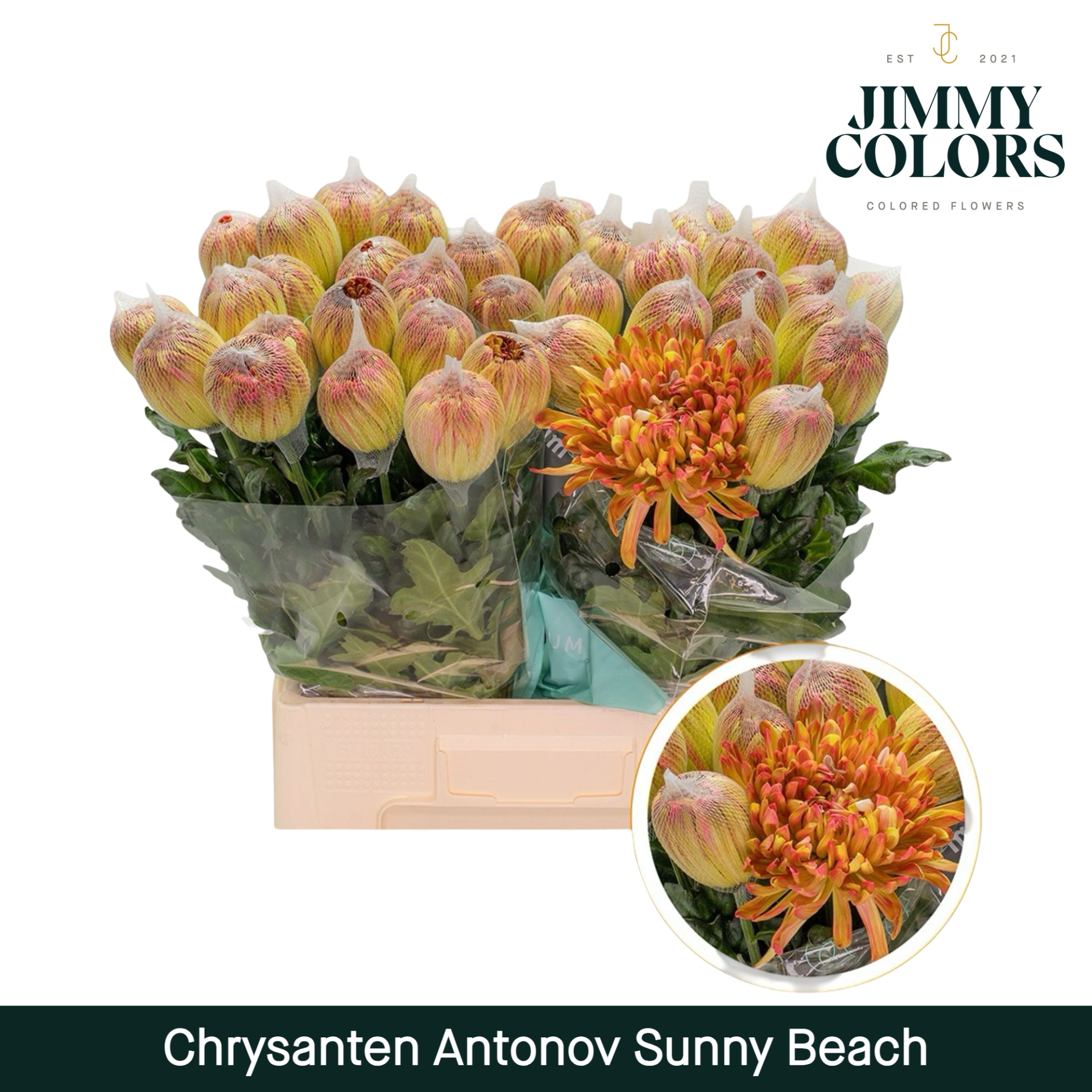 Chr G Antonov Sunny Beach