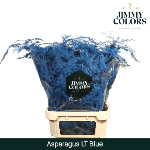 Aspa Lang Getopt Blue