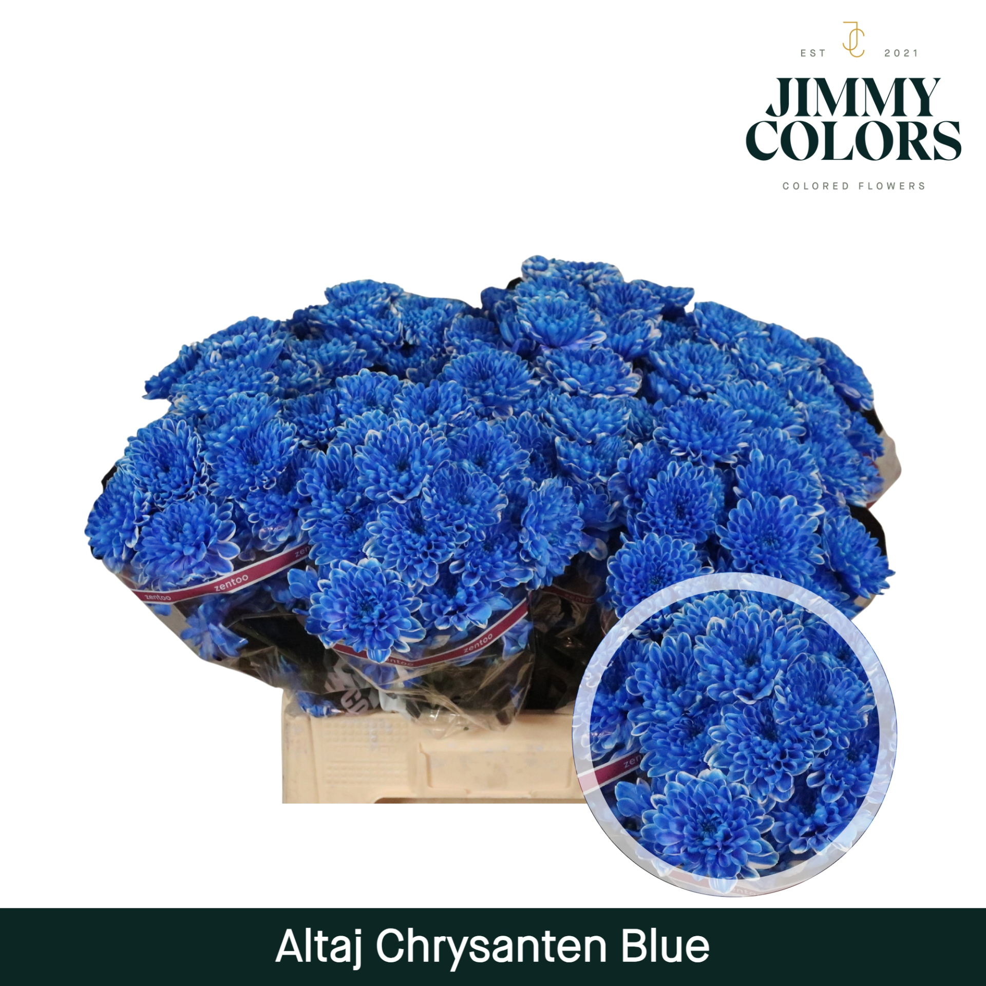 Chr T Altaj Blue