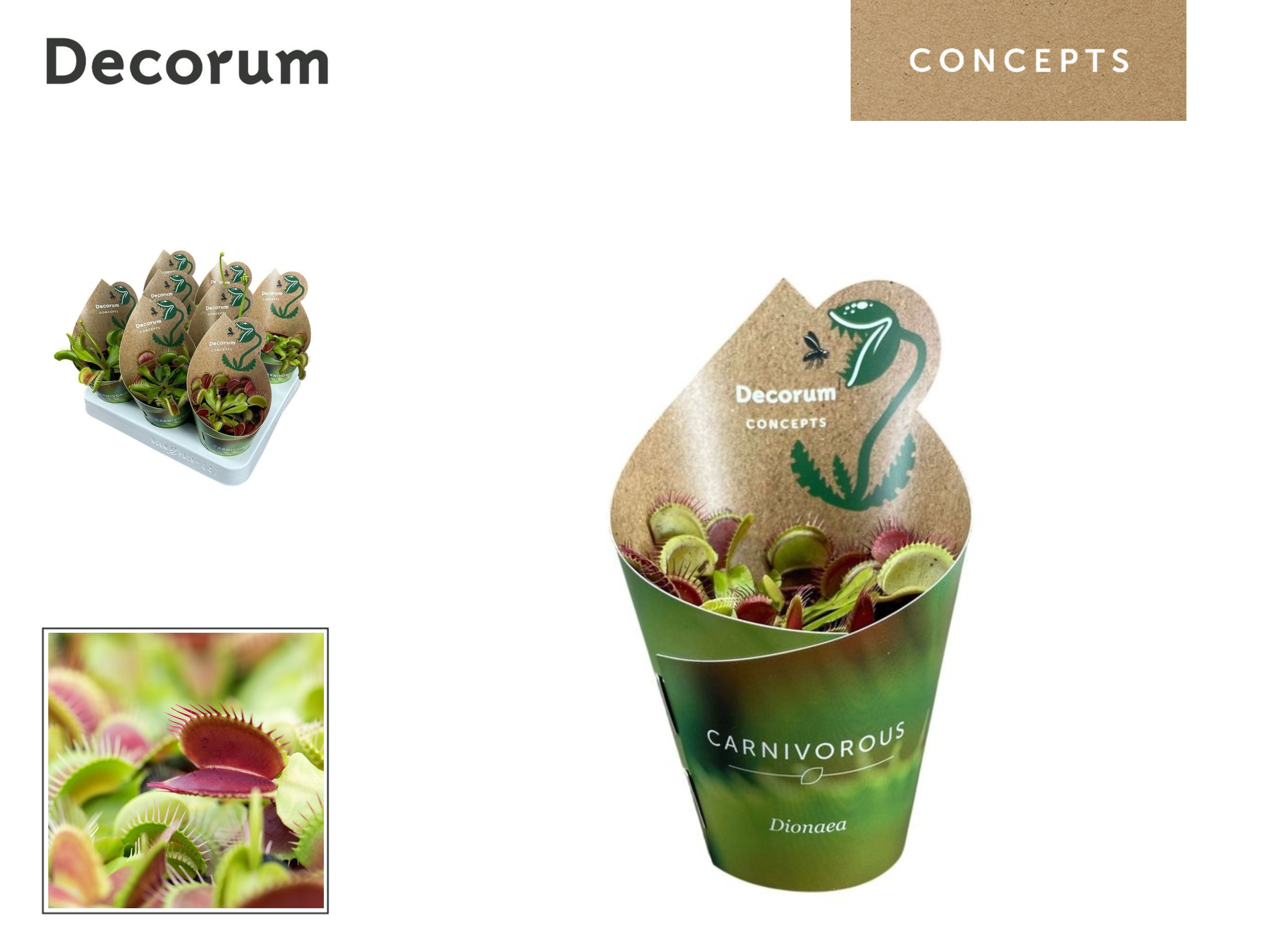 Vleesetende Planten 508P 20H