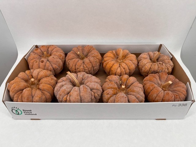 Ornamental Fruits Per Piece
