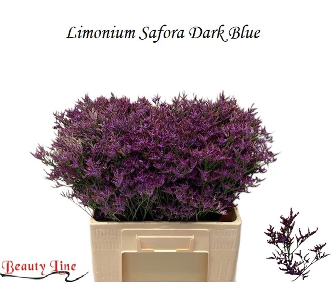 Lim Saf Dark Blue