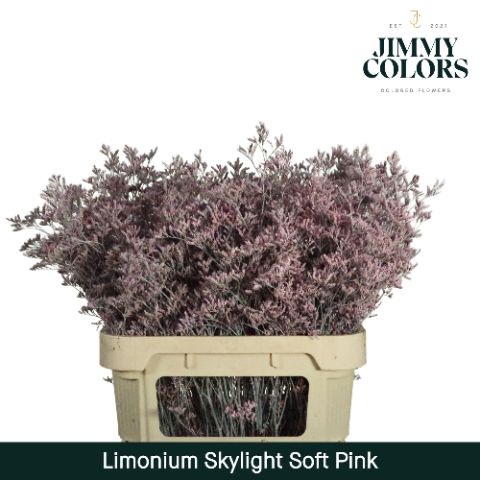 Lim Skylight L80 Soft Pink