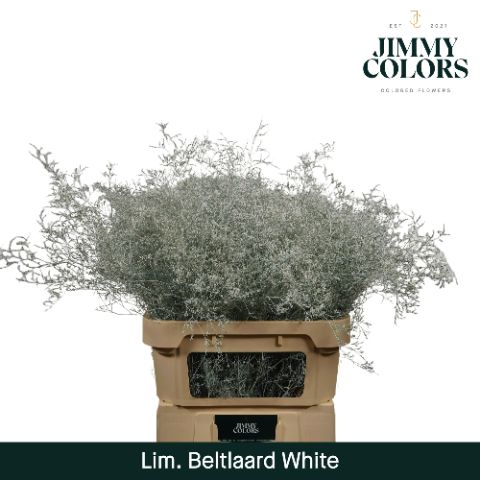 Lim Bel L90 White