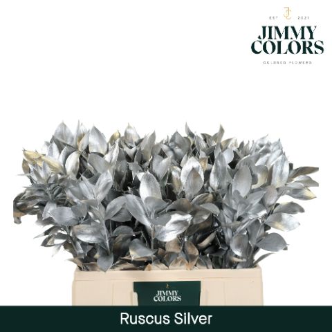 Ruscus L60 Mtlc. Silver