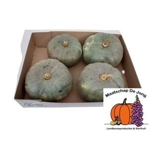 Cucurbita Jarrahdale