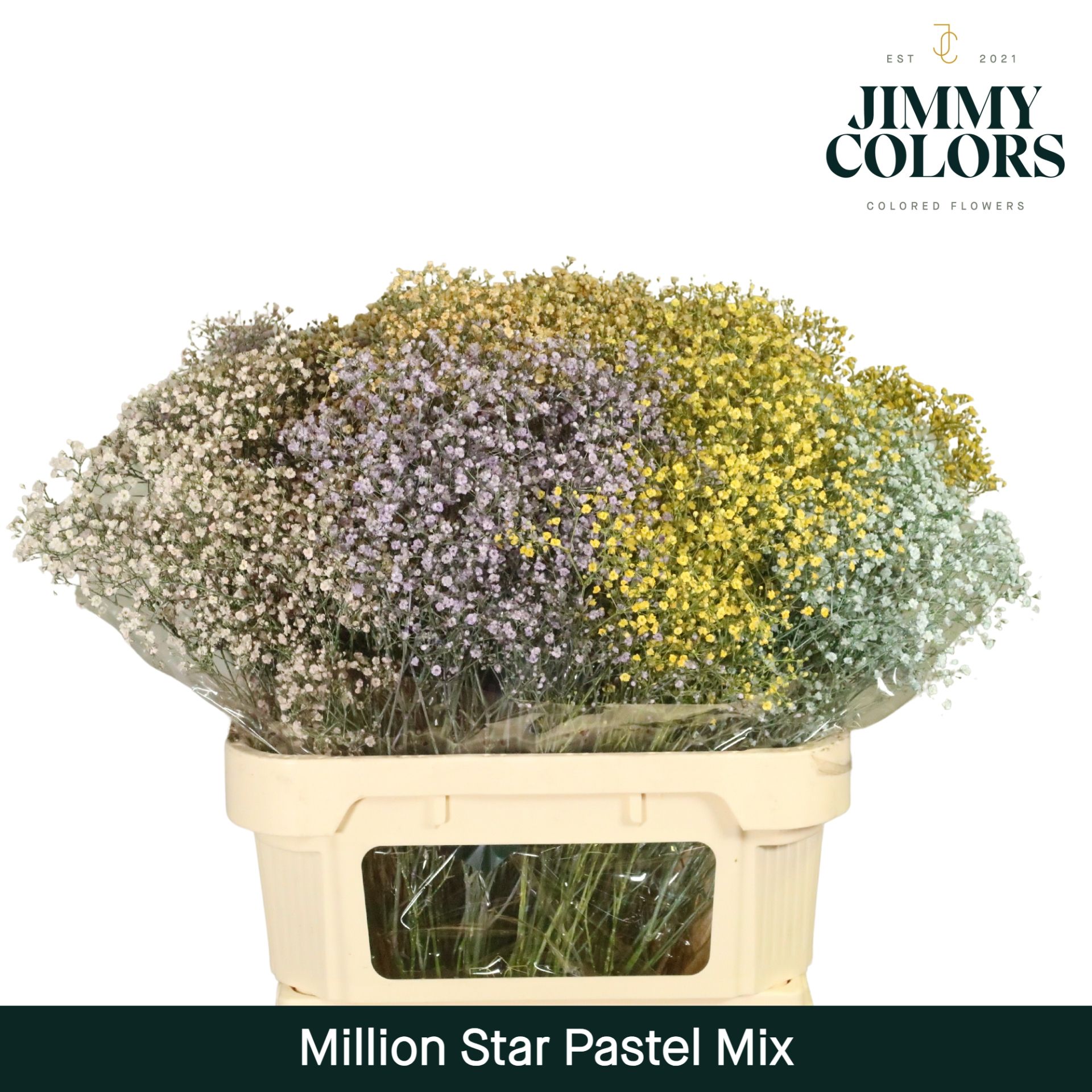 Gyps Million Star L80 Pastel Mix