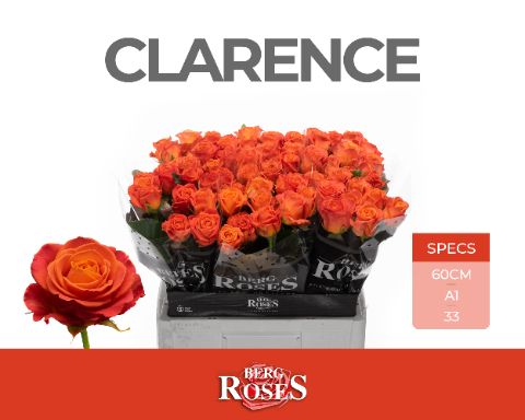 R Gr Clarence+