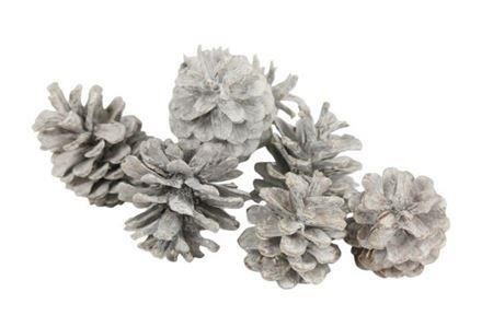 Stick Pine Cone Wax
