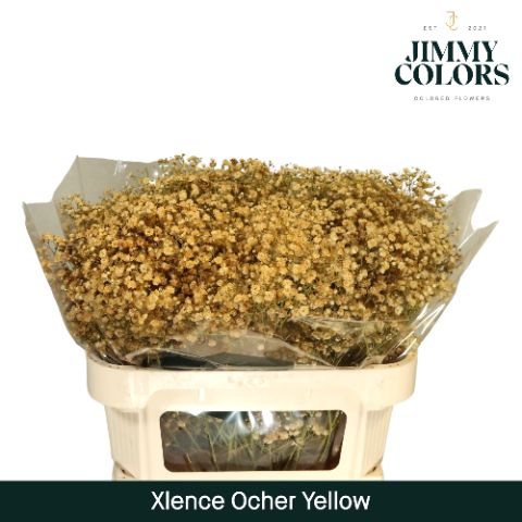 Gyps Xlence L70 Ochre Yellow