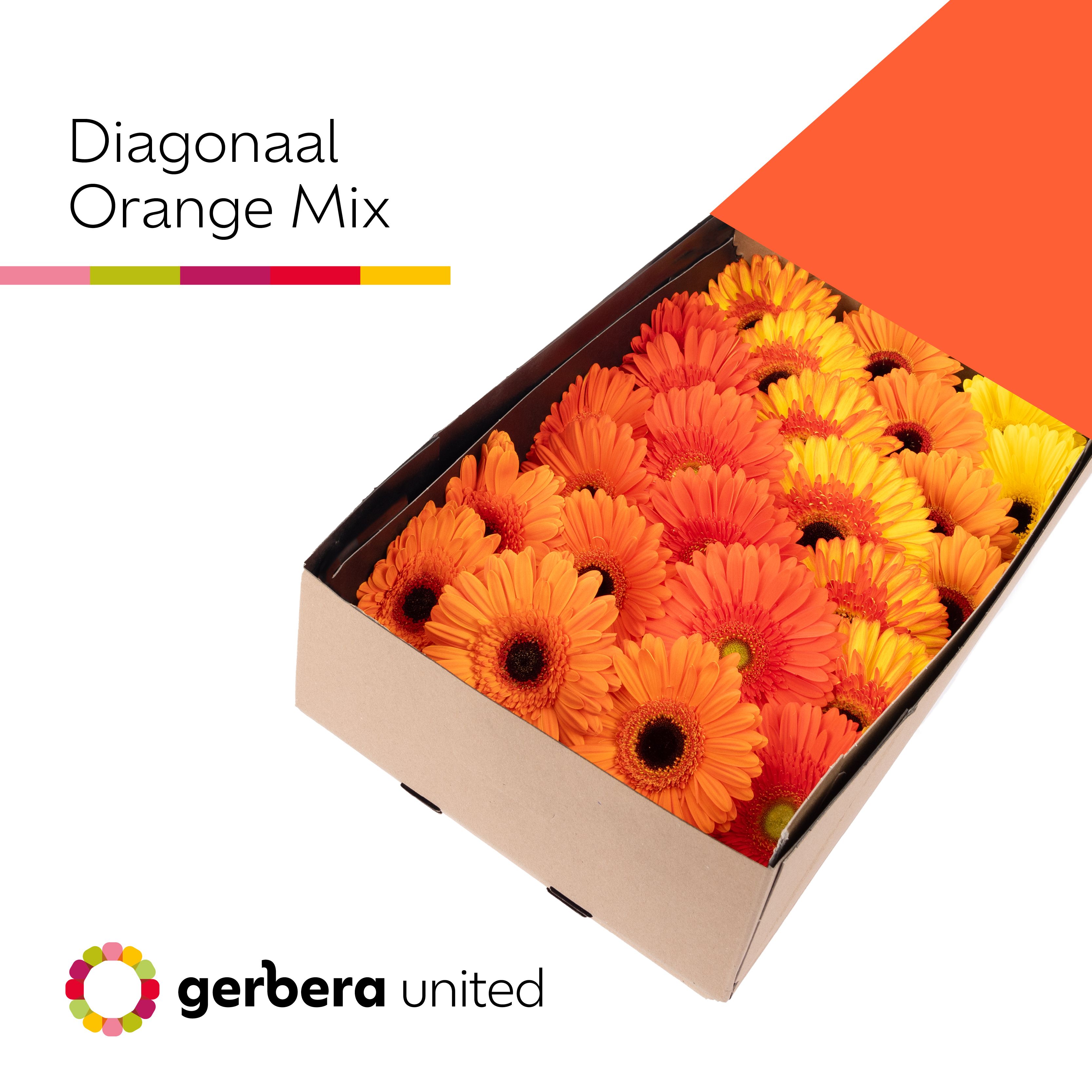 Ge Gr Diagonaal Gem