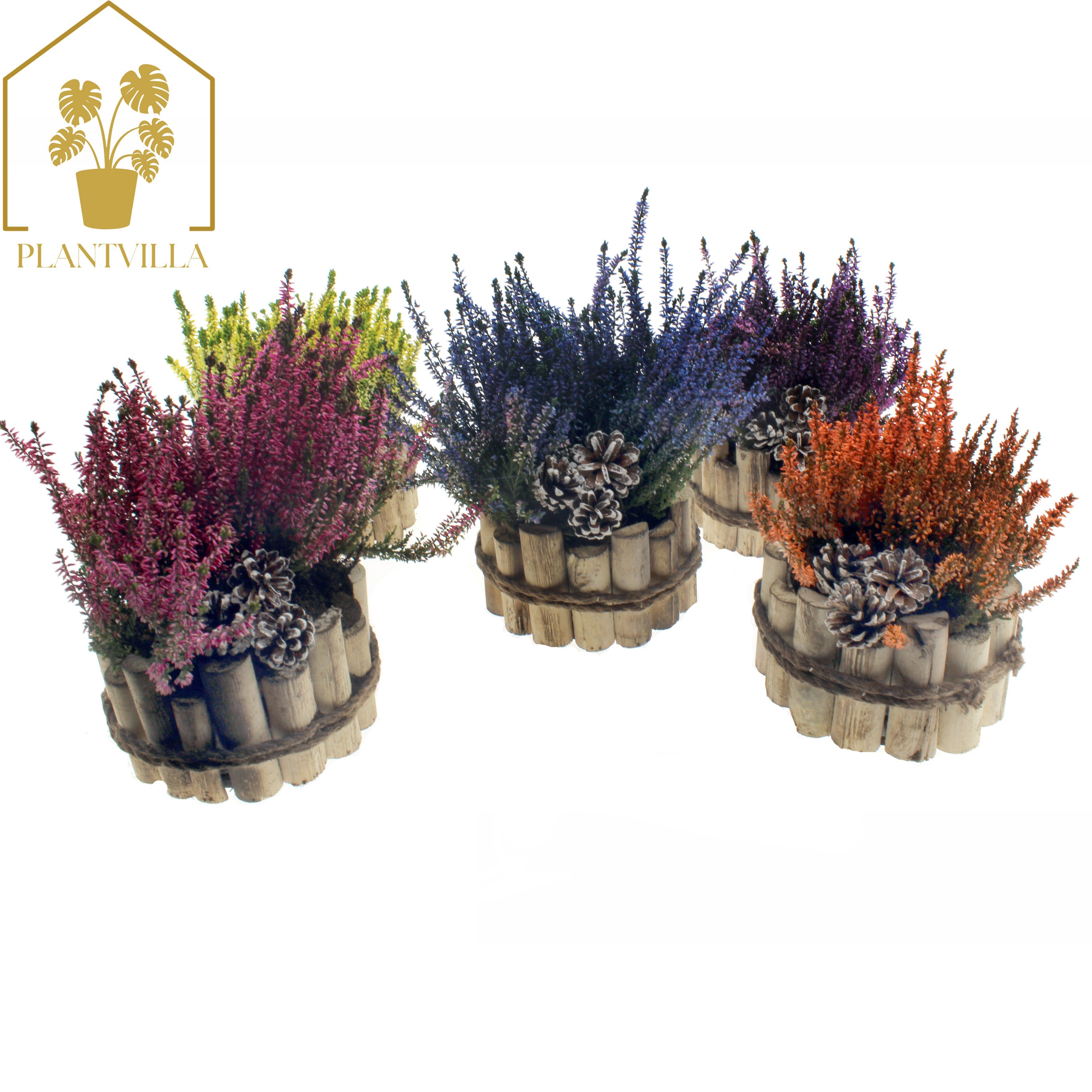 Arr Tuinplanten 17P 30cm 23bloei