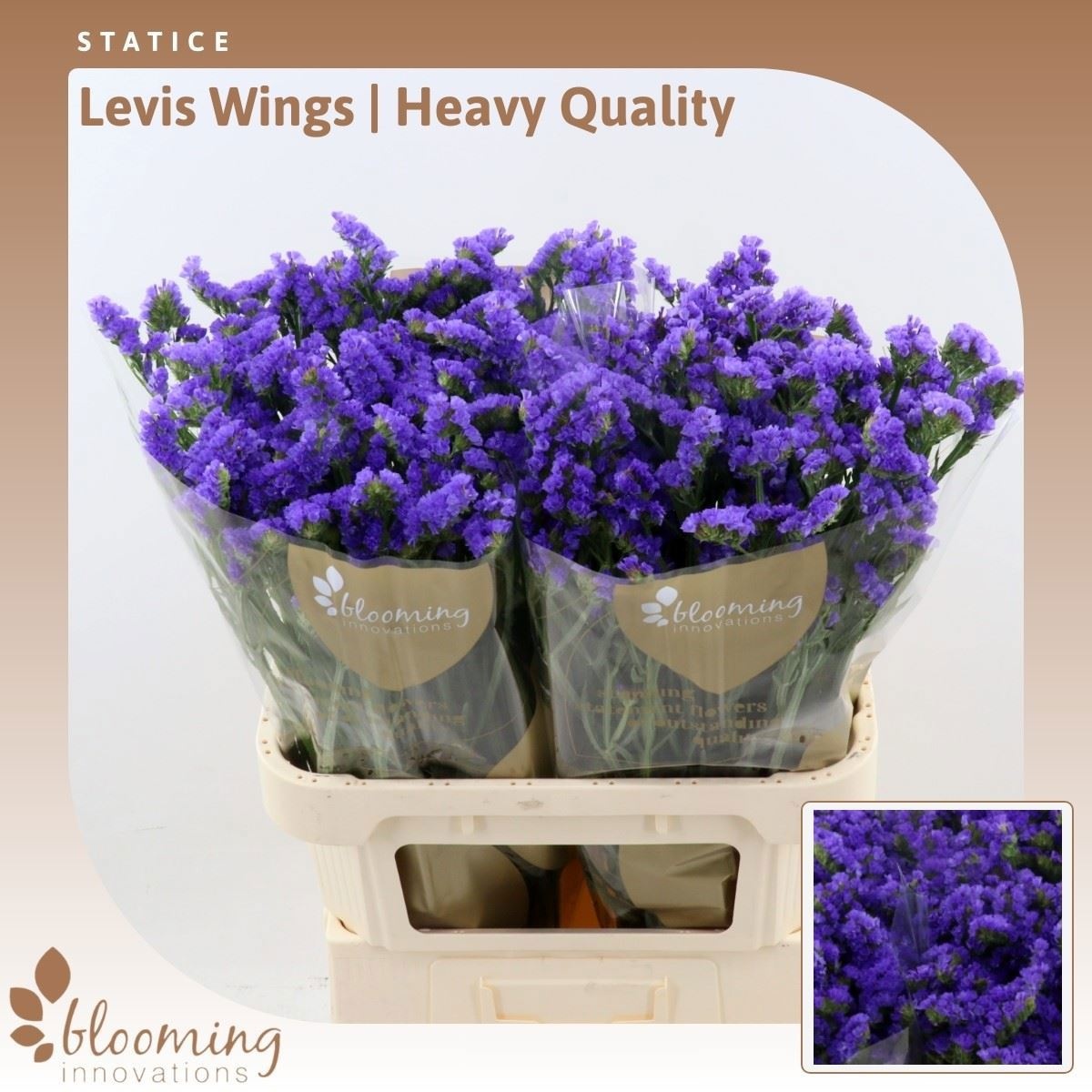 Lim S Levis Wings 80cm 45gram