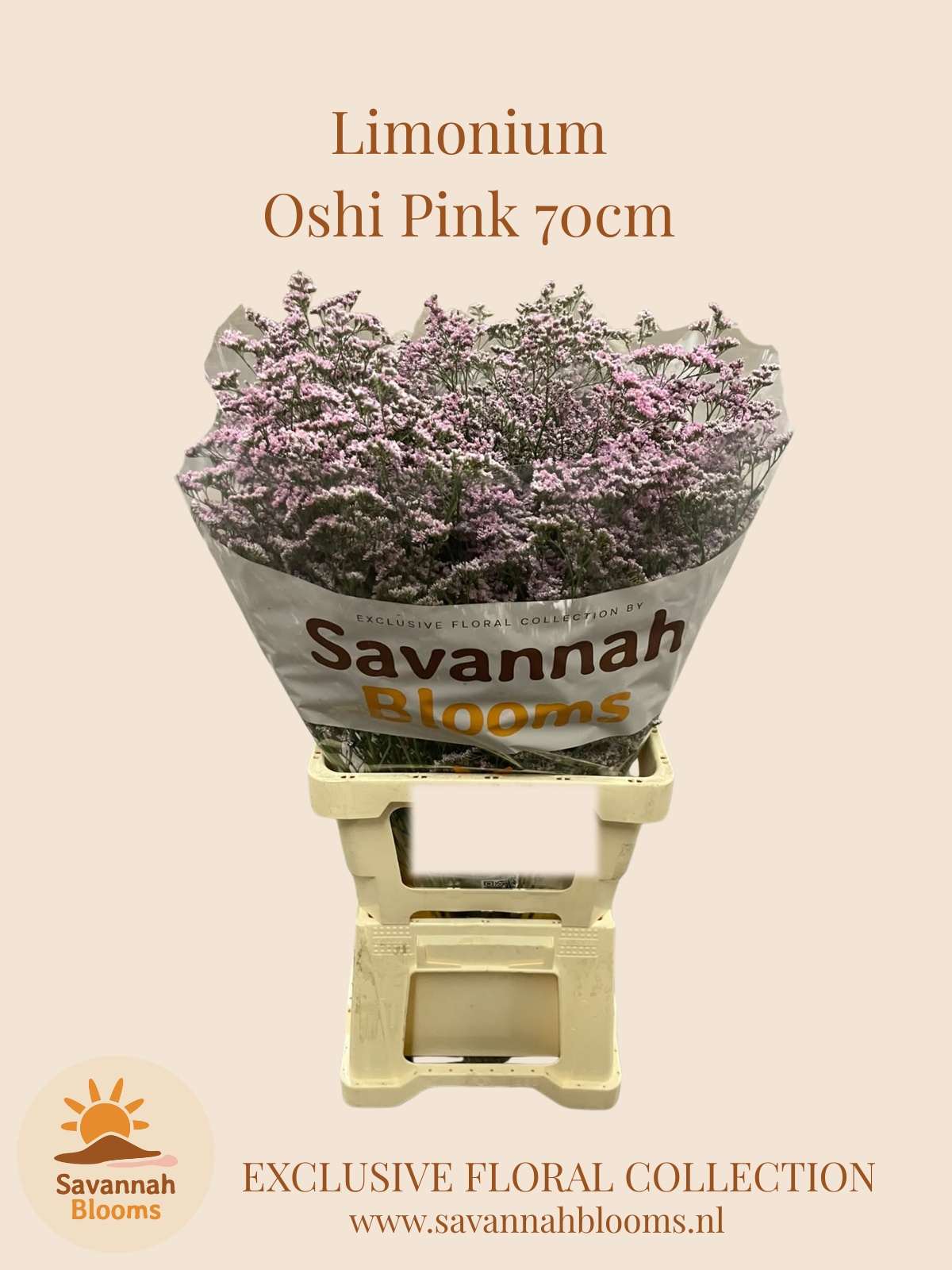 Lim Saf Oshi Pink 70L.cm 40gram 23bloei