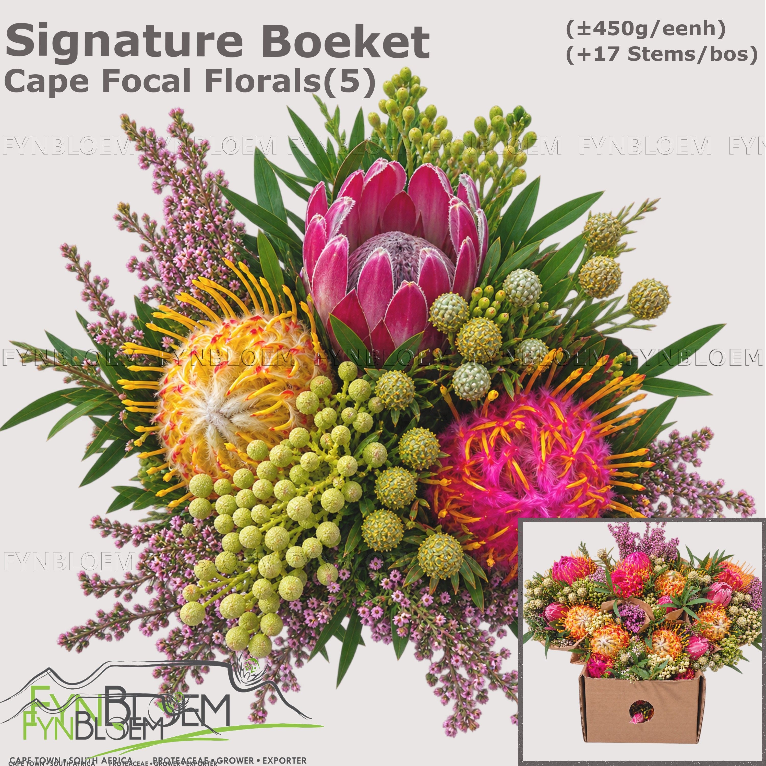 Protea Per Bos