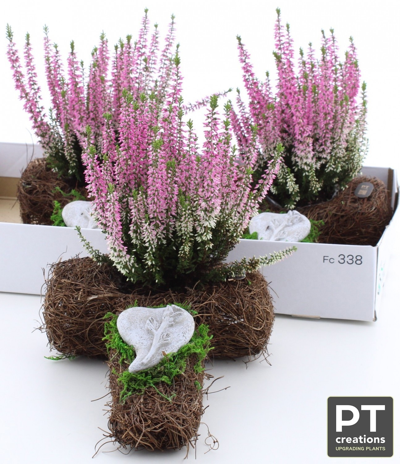 Arr Tuinplanten 30P 31cm 22bloei