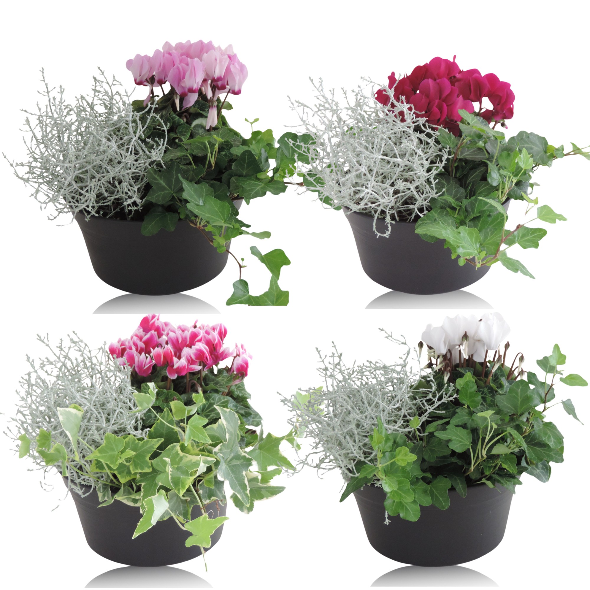 Picture of Arrangement Patiopot RS-00021903 P19 35CM