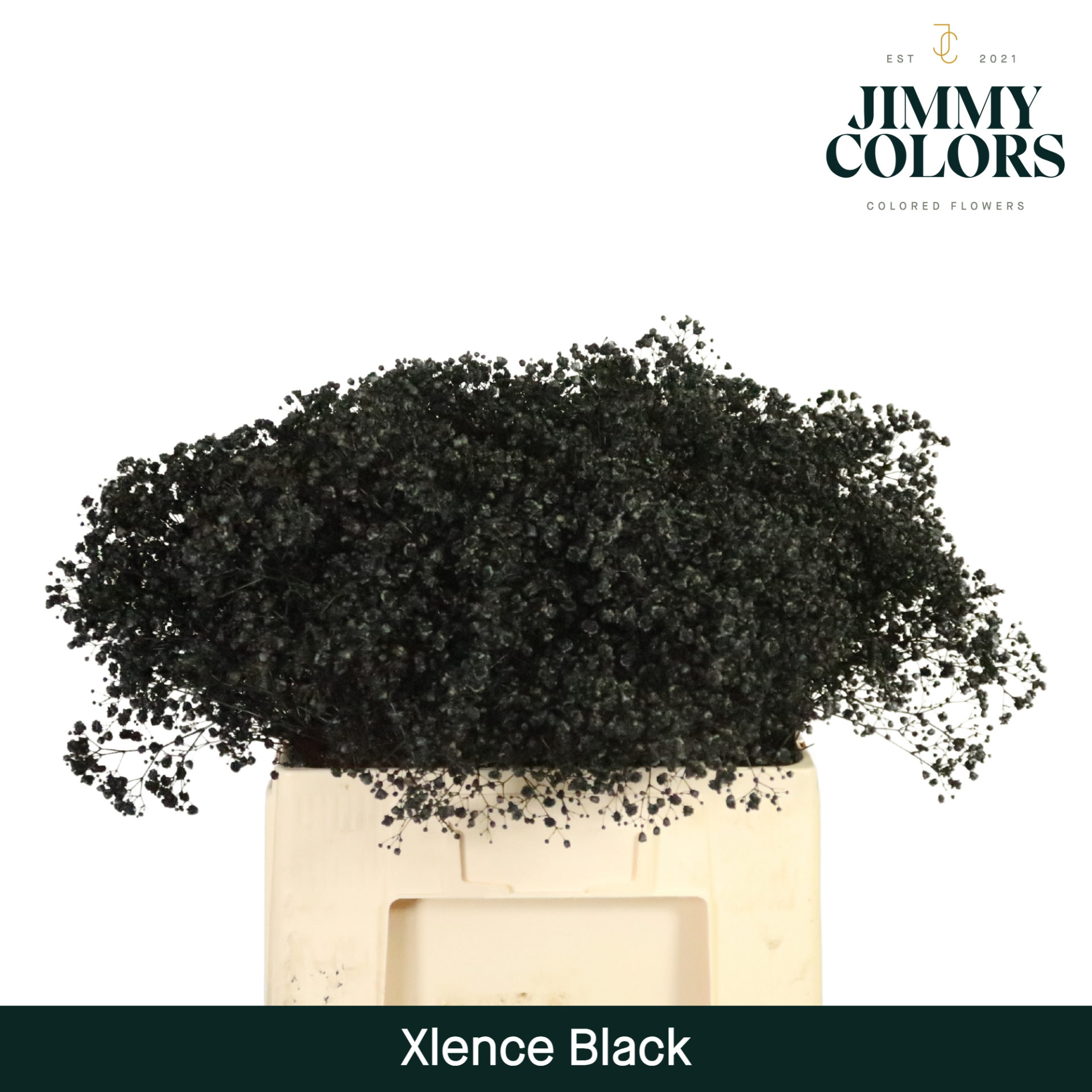 Gyps Xlence L60 Black