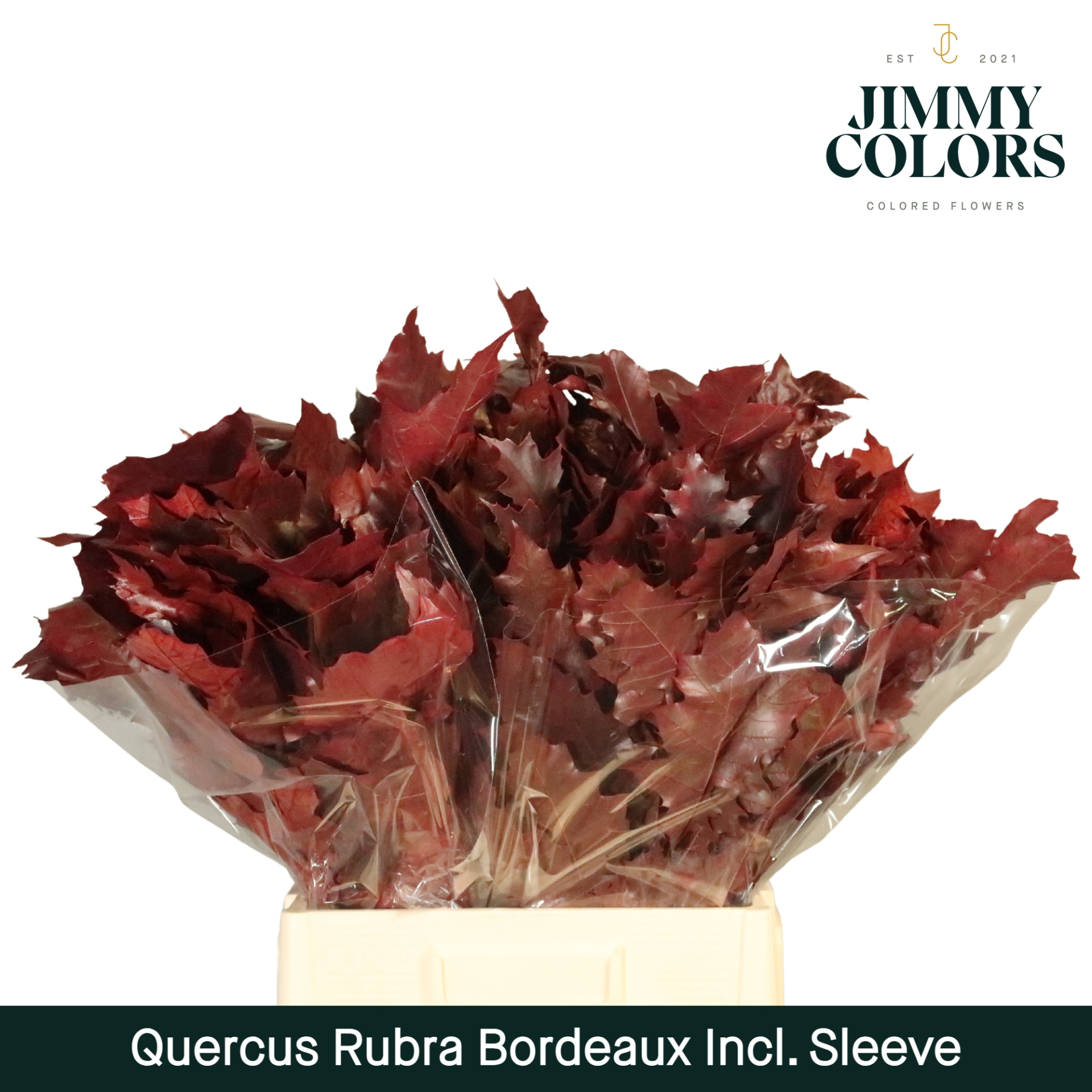 Quercus Rubra Sleeve L60 Bordeaux