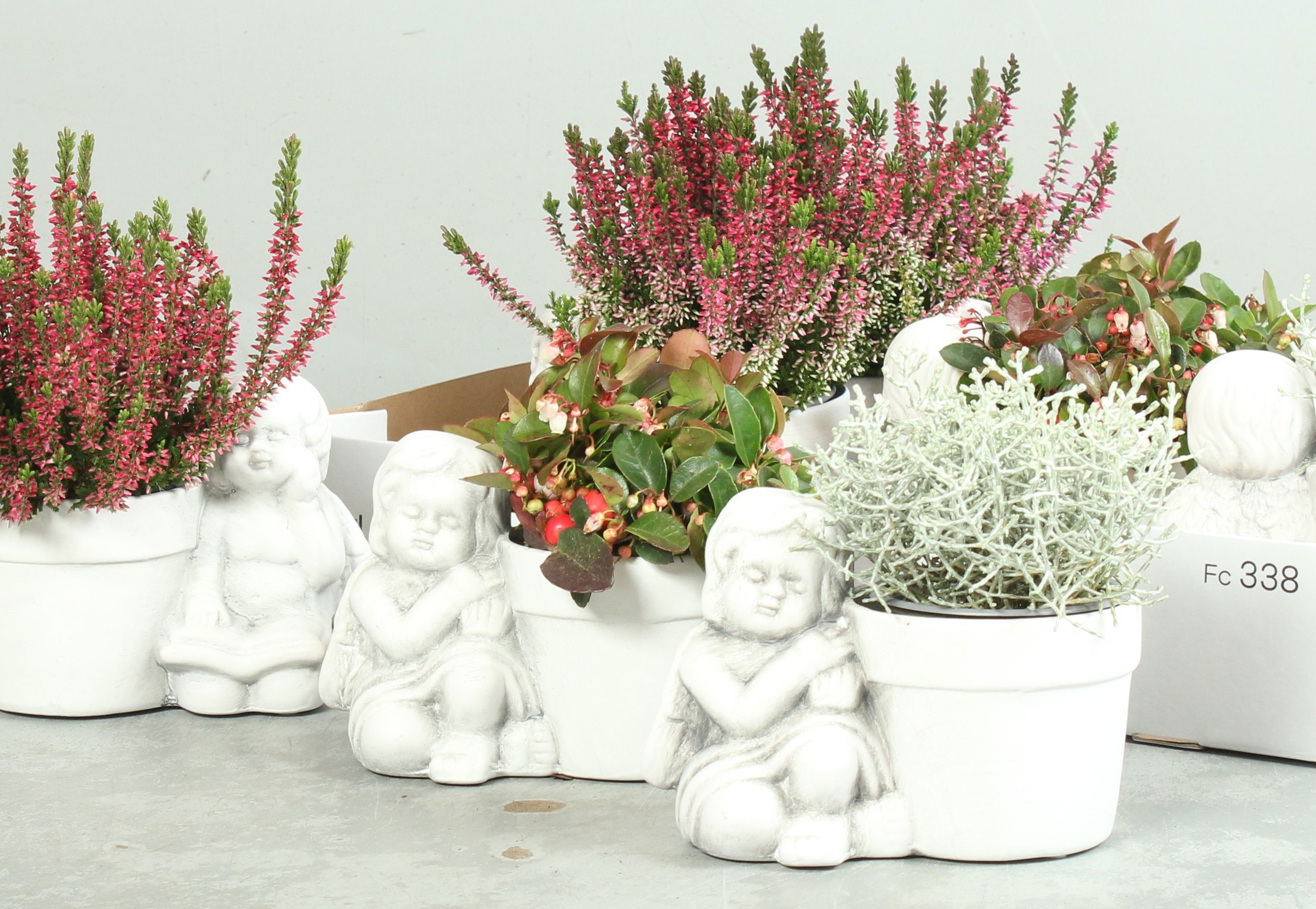 Arr Tuinplanten 18P 30cm