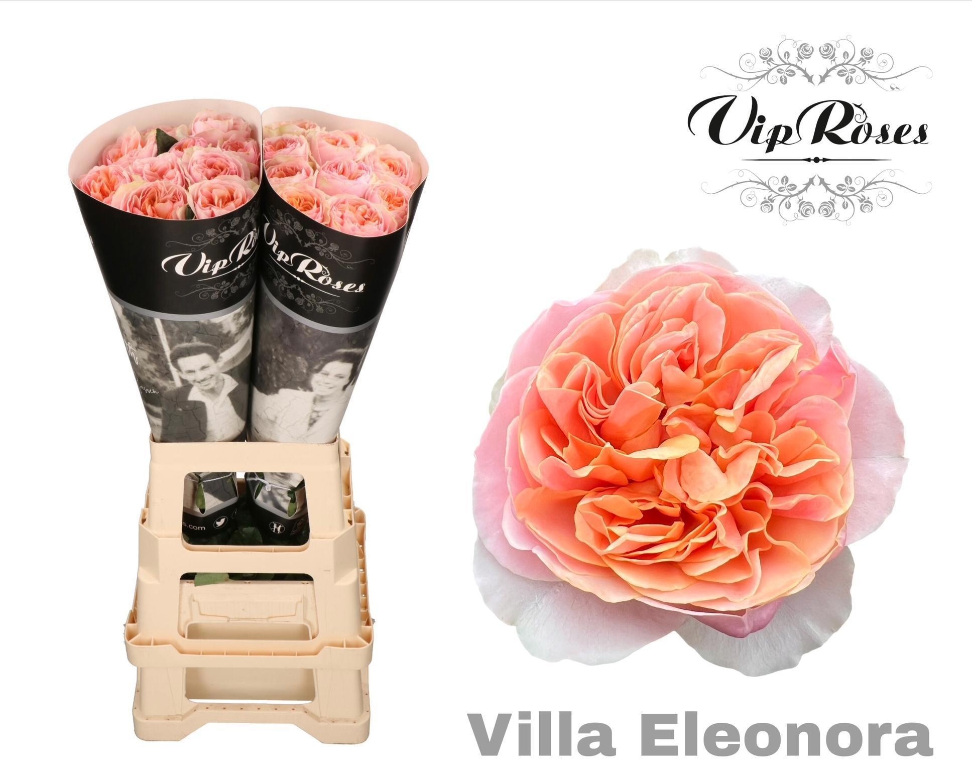 R Gr Villa Eleonora