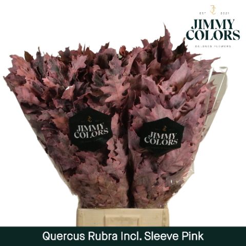 Quercus Rubra Sleeve L80 Pink