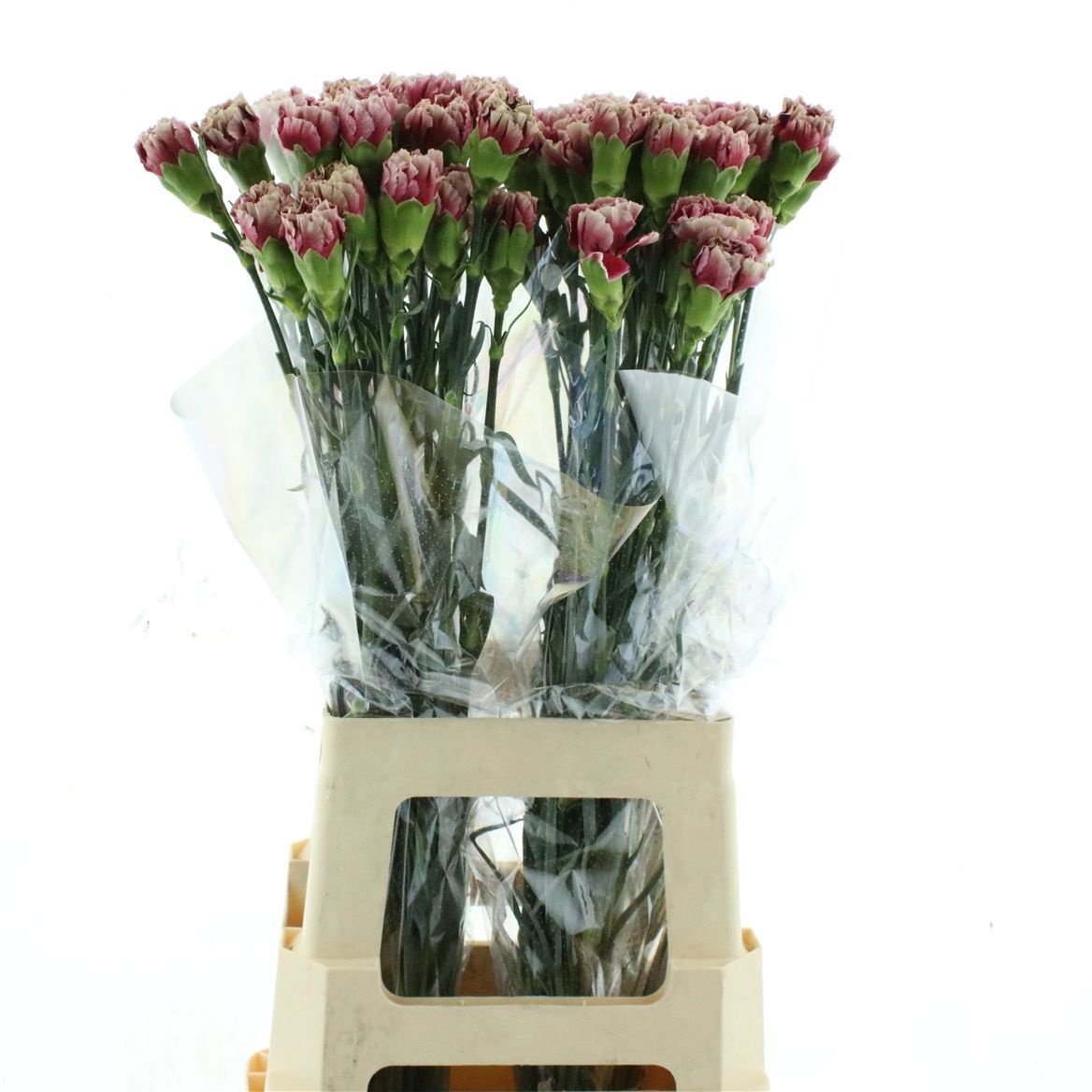 Di St Merlet Cherry