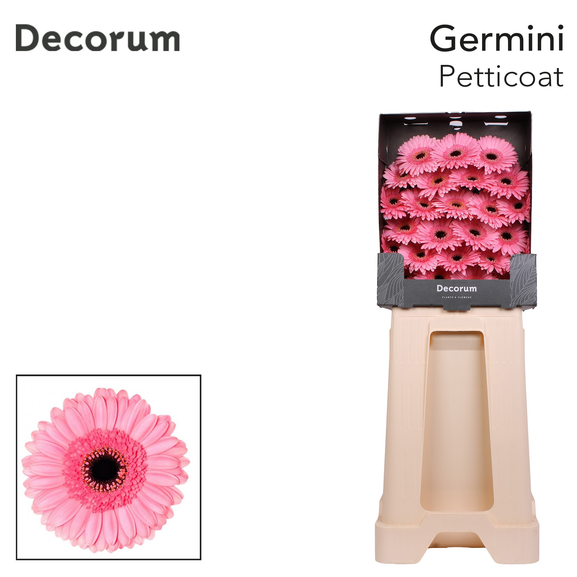 Ge Mi Petticoat