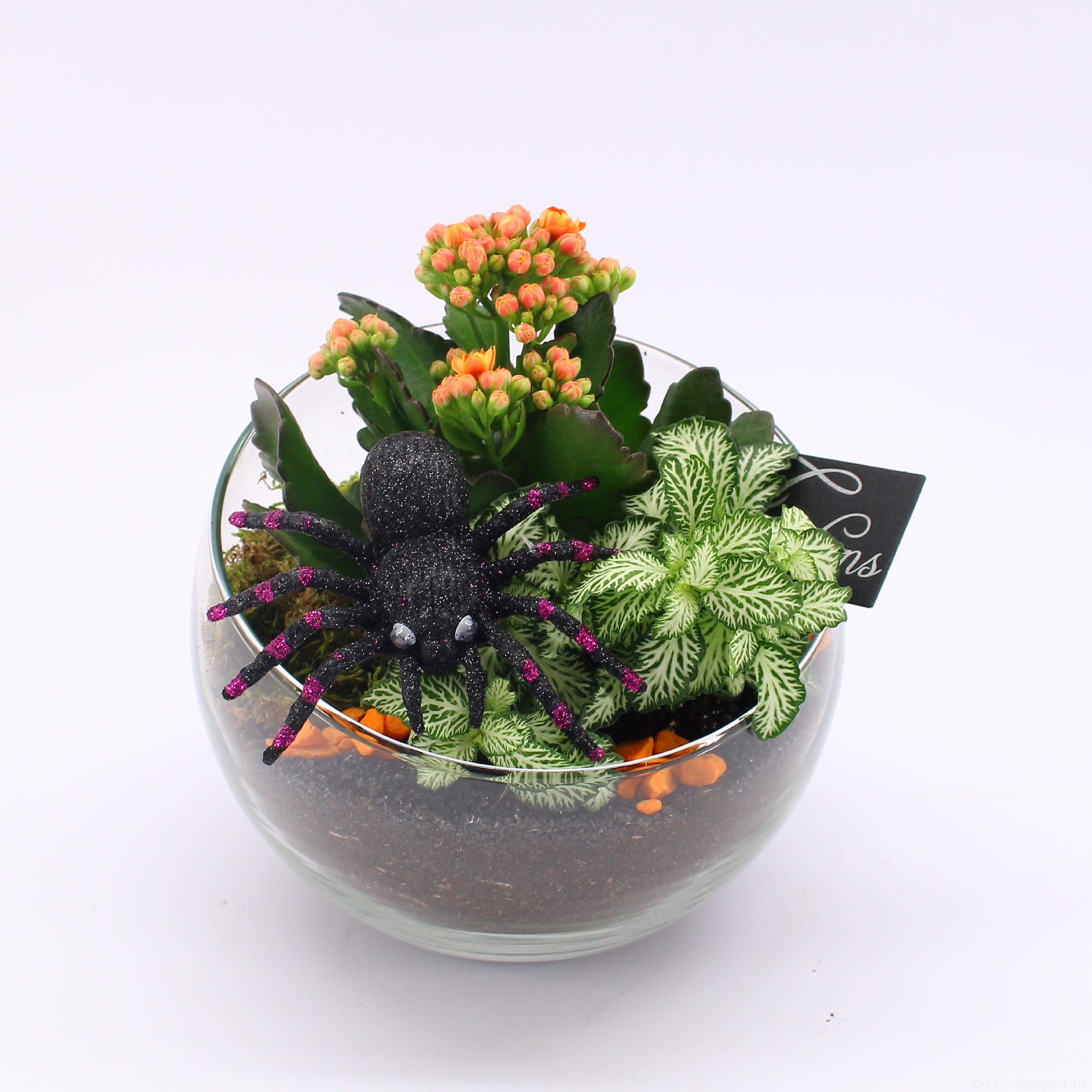 Picture of HWCR-2402 Halloween arrangement P18 20CM